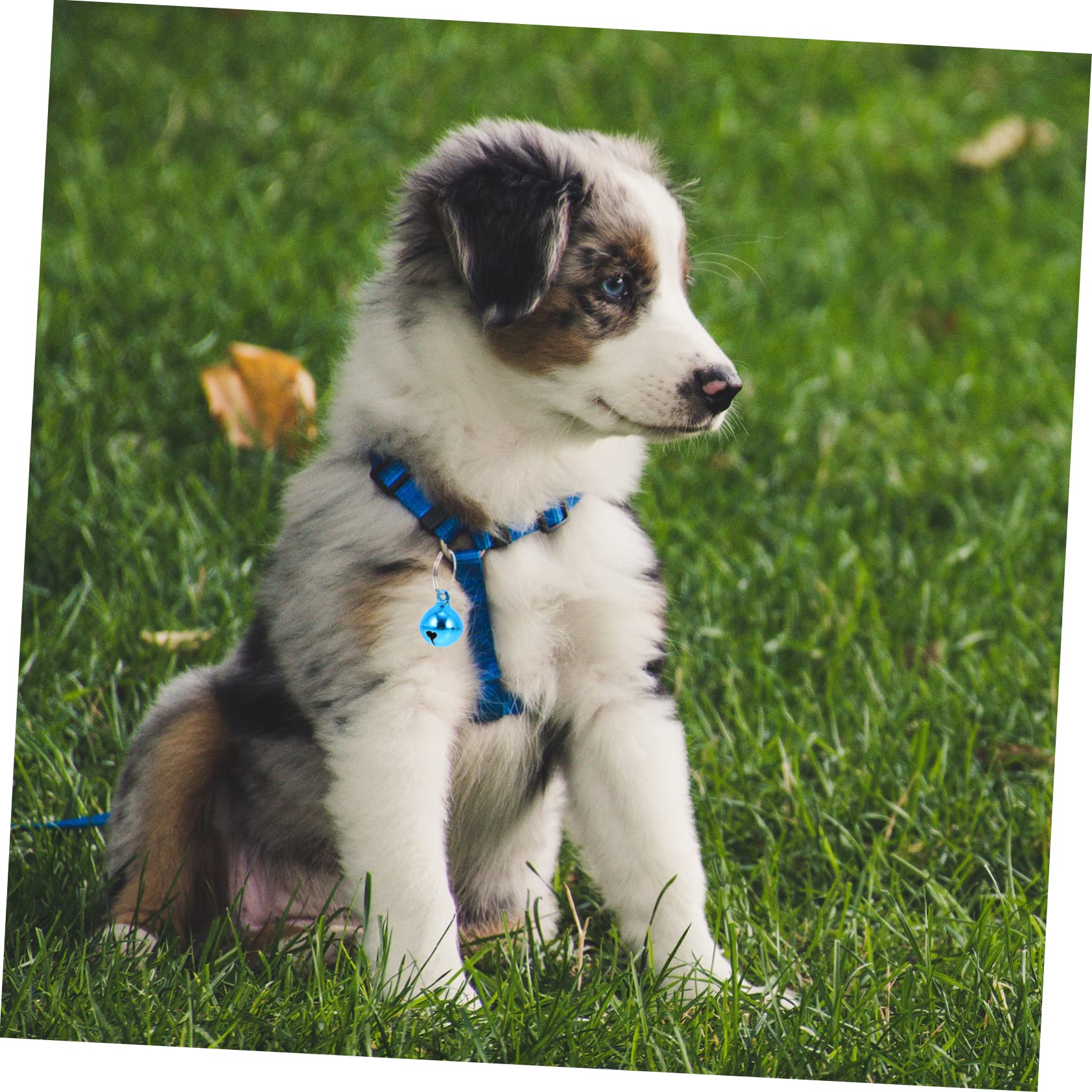 Alipis 24Pcs Multi Function Cat Bells Pet Accessory Chime for Collars for Decorating present Giving Vibrant DIY Pet Ornaments