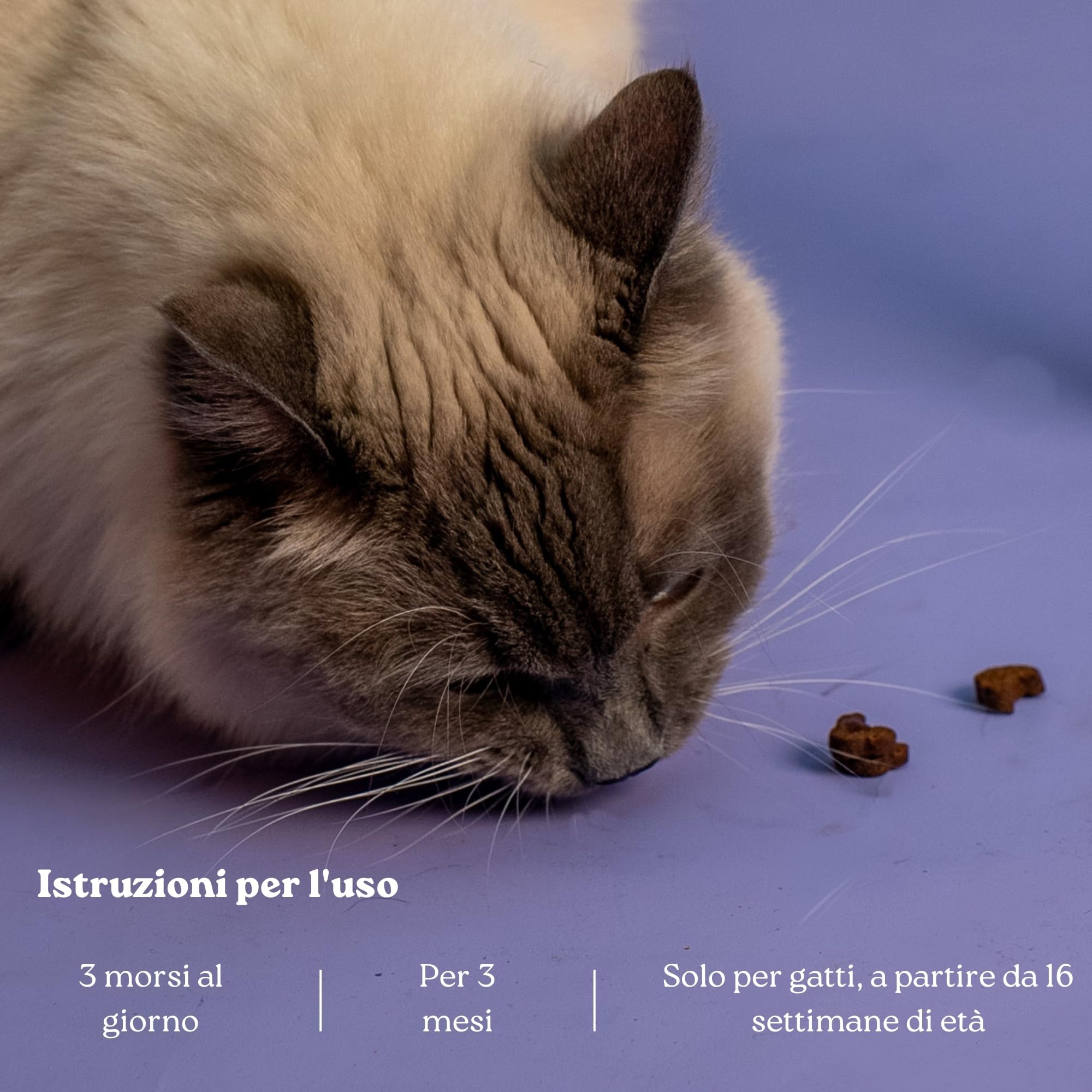 Weloca Anti-Stress Gatto - Anti marcatura urinaria, Anti graffio, lenitivo Contro i Problemi comportamentali del Gatto - 13 principi Attivi Naturali - Calmante Gatto - Imballaggio Francese