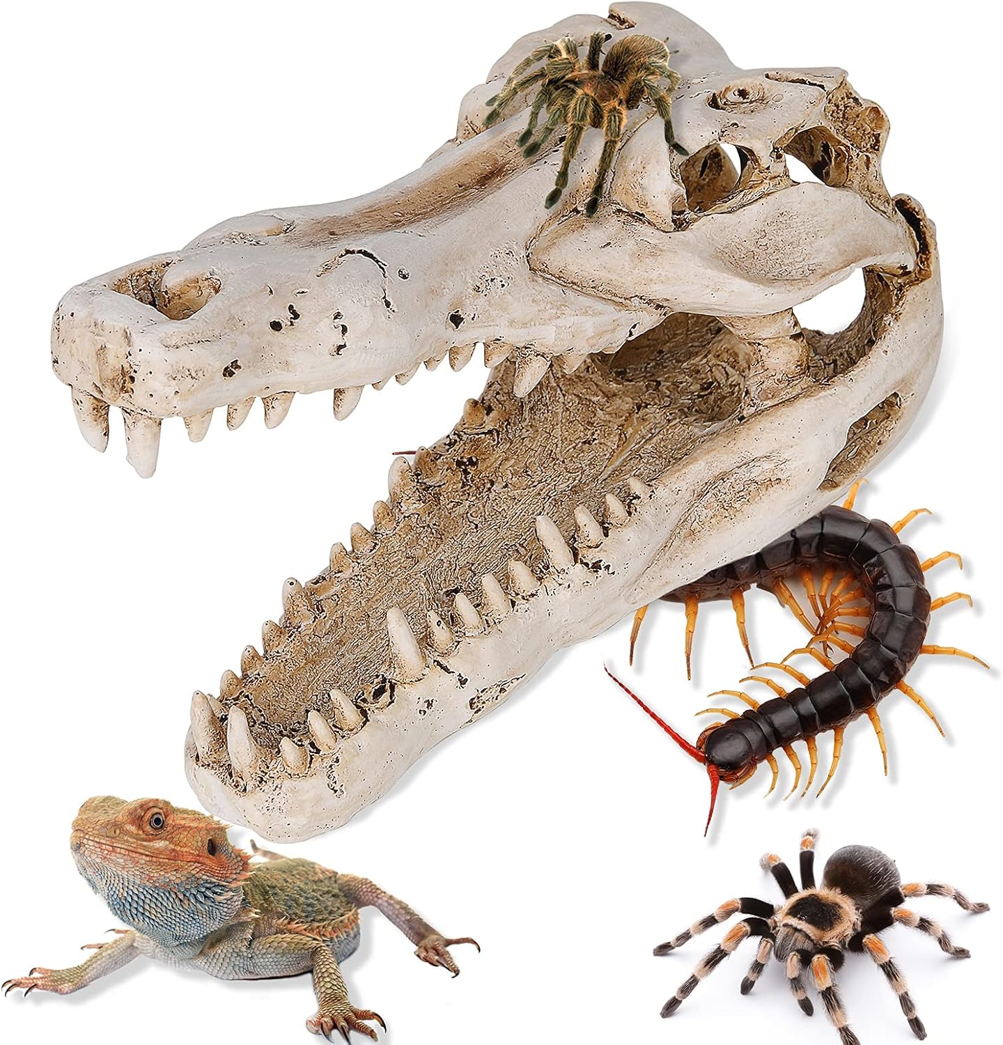 Aquarium Resin Dinosaur Skull, for Aquarium Decoration Reptile House Cave Family Daily Decoration