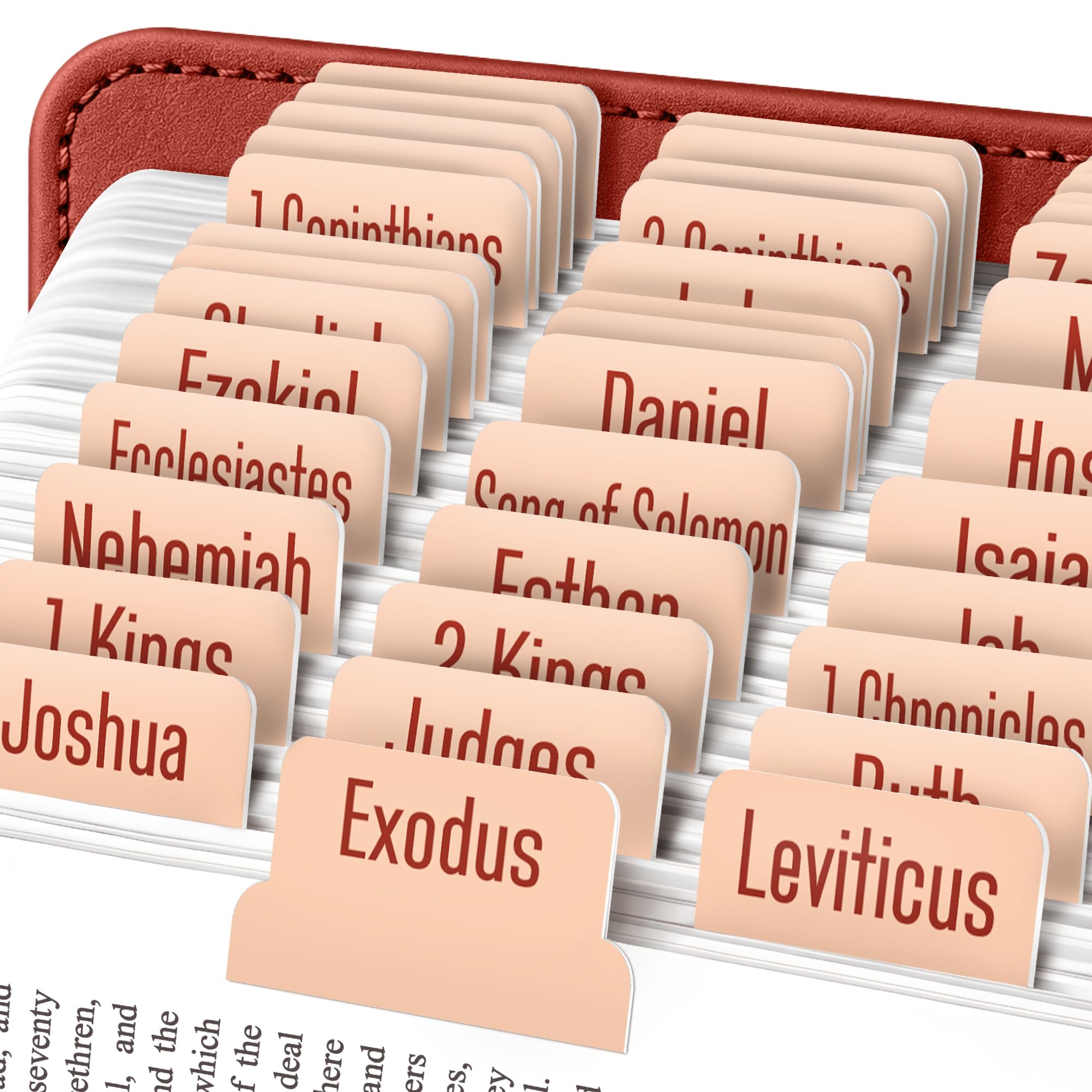 EssexWares - Apricot Bible Tabs for Old and New Testament, 80 Large Print Tabs for Bible Study, Water-Resistant and Durable Index Tabs for Women and Men - 1.7" Wide