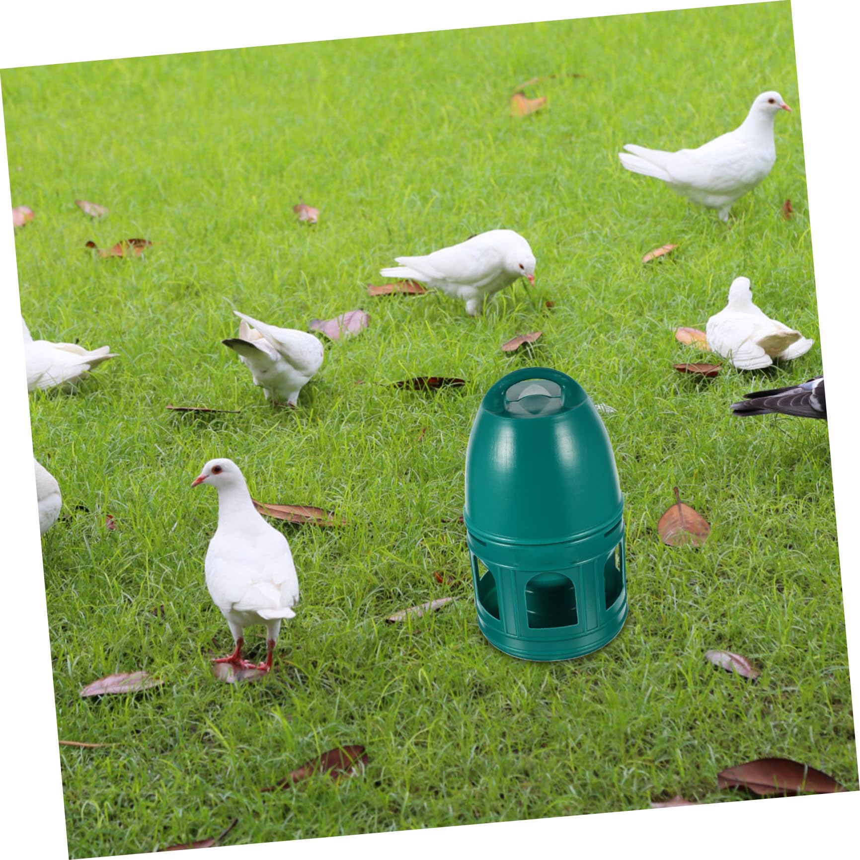 Comedero y Bebedero para Dispensador De Agua para Pájaros Plástico Fácil De Limpiar