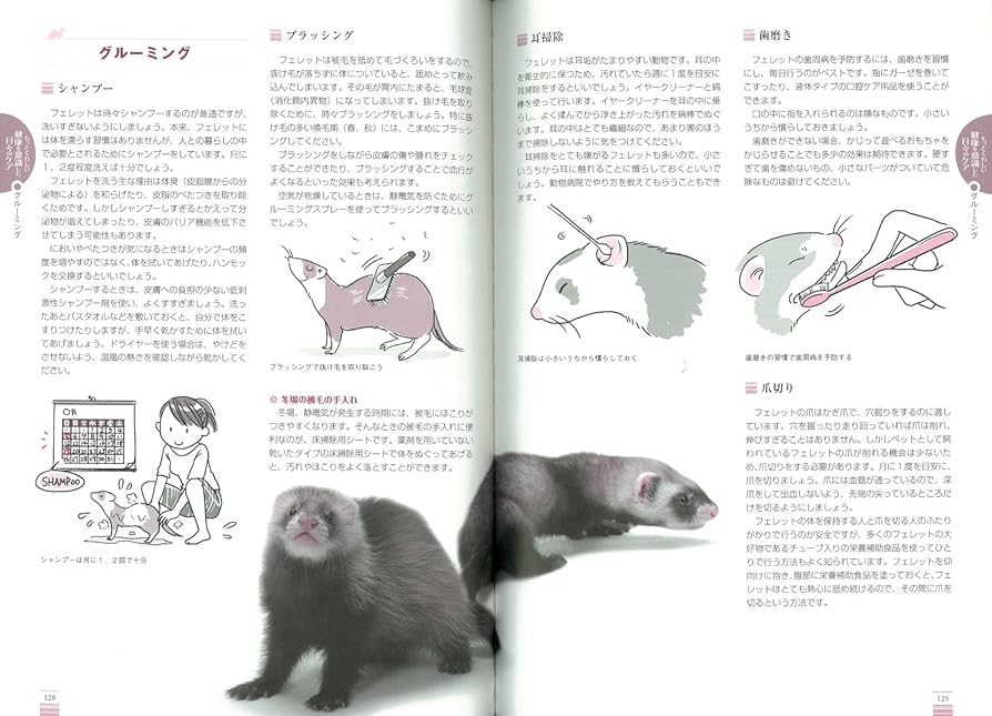 【希少！】よくわかるフェレットの健康と病気 あなたのフェレットを病気にさせない よくわかるフェレットの健康と病気: あなたのフェレットを病気に