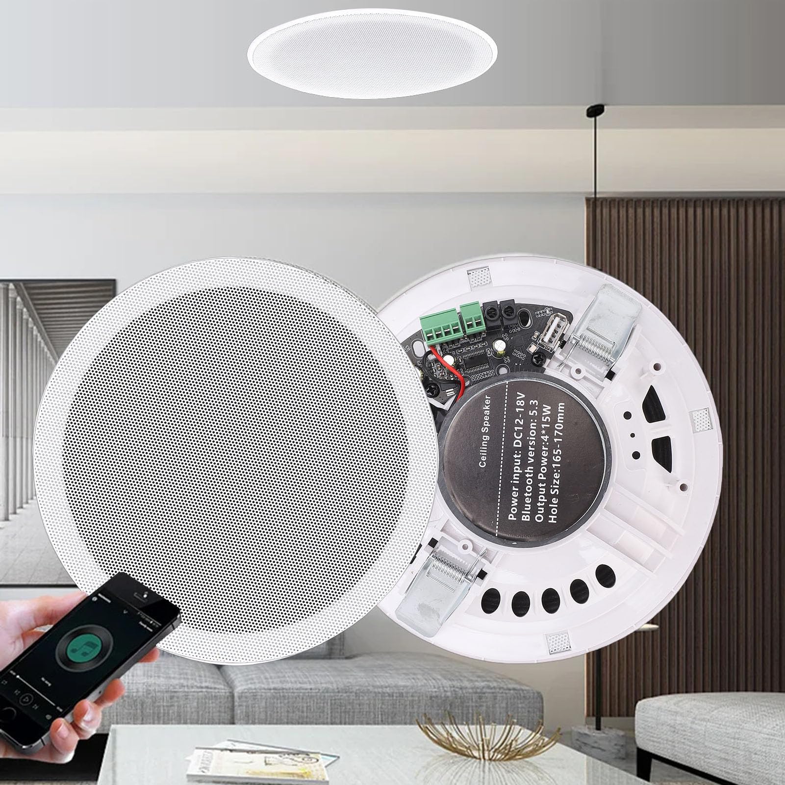 Altoparlante Bluetooth da Soffitto 60W con Amplificatore Classe D Integrato (white)