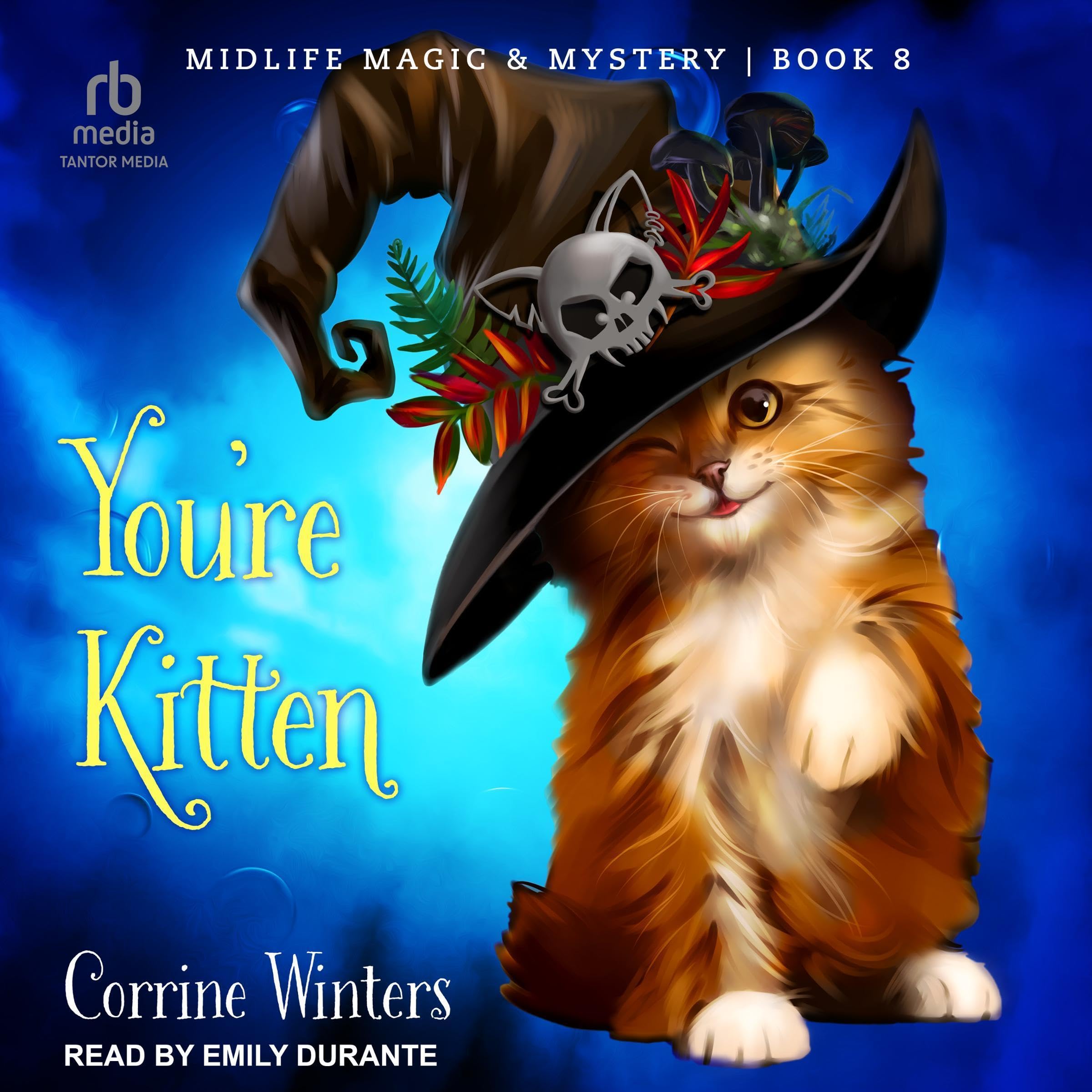 Cover art for You're Kitten