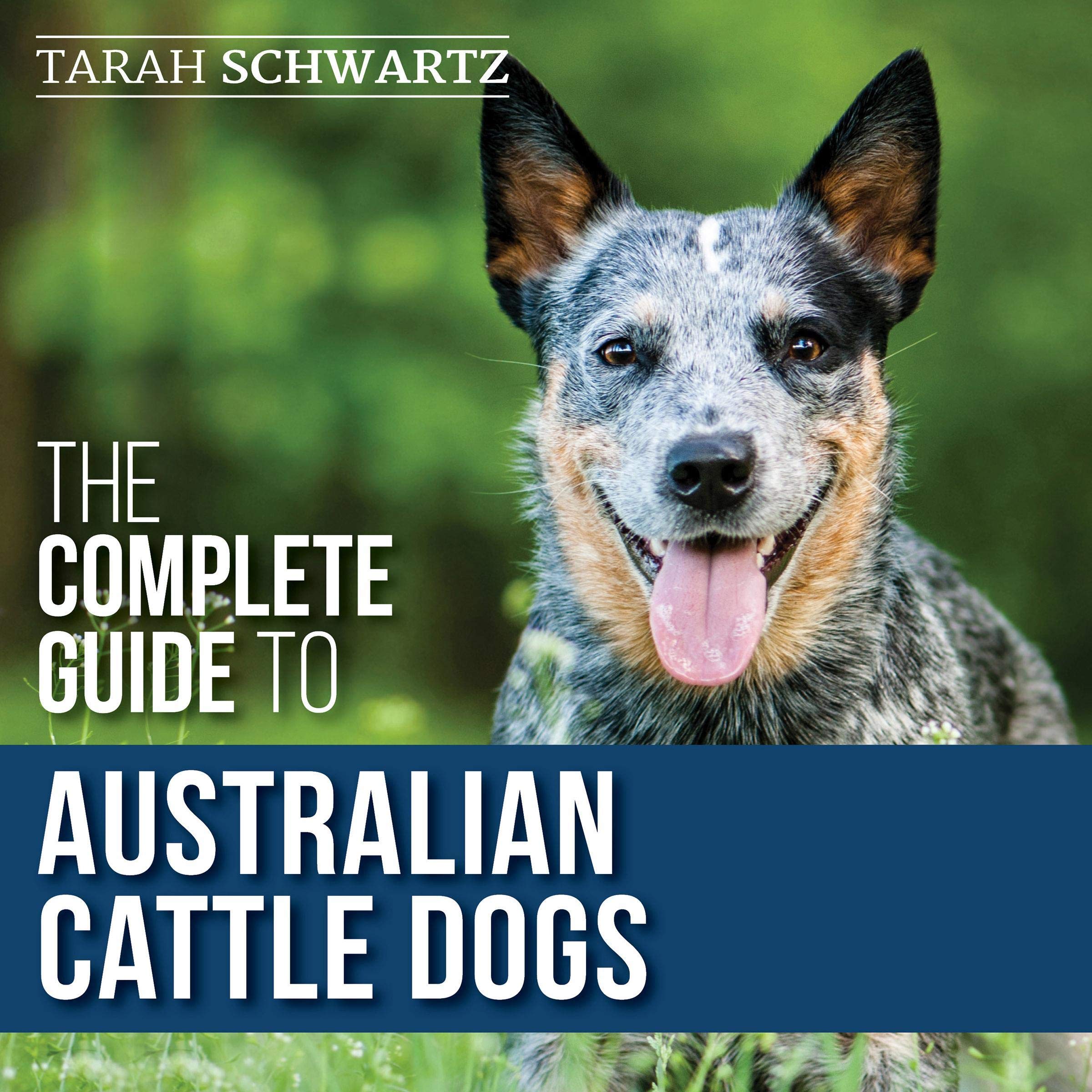 The Complete Guide to Australian Cattle Dogs