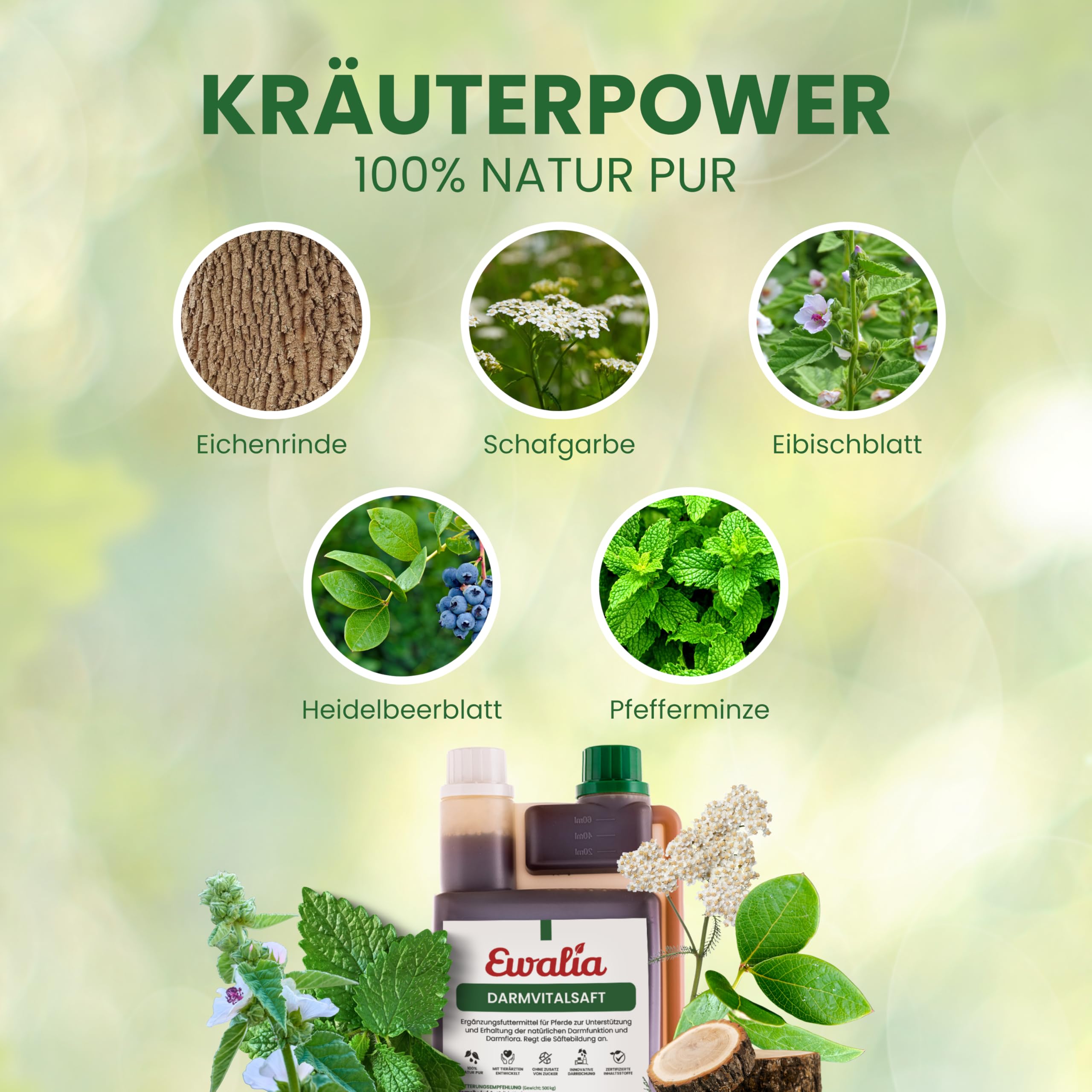 EWALIA Darmvitalsaft | 1 l | Ergänzungsfuttermittel für Pferde | Mit Schafgarbe & Pfefferminze