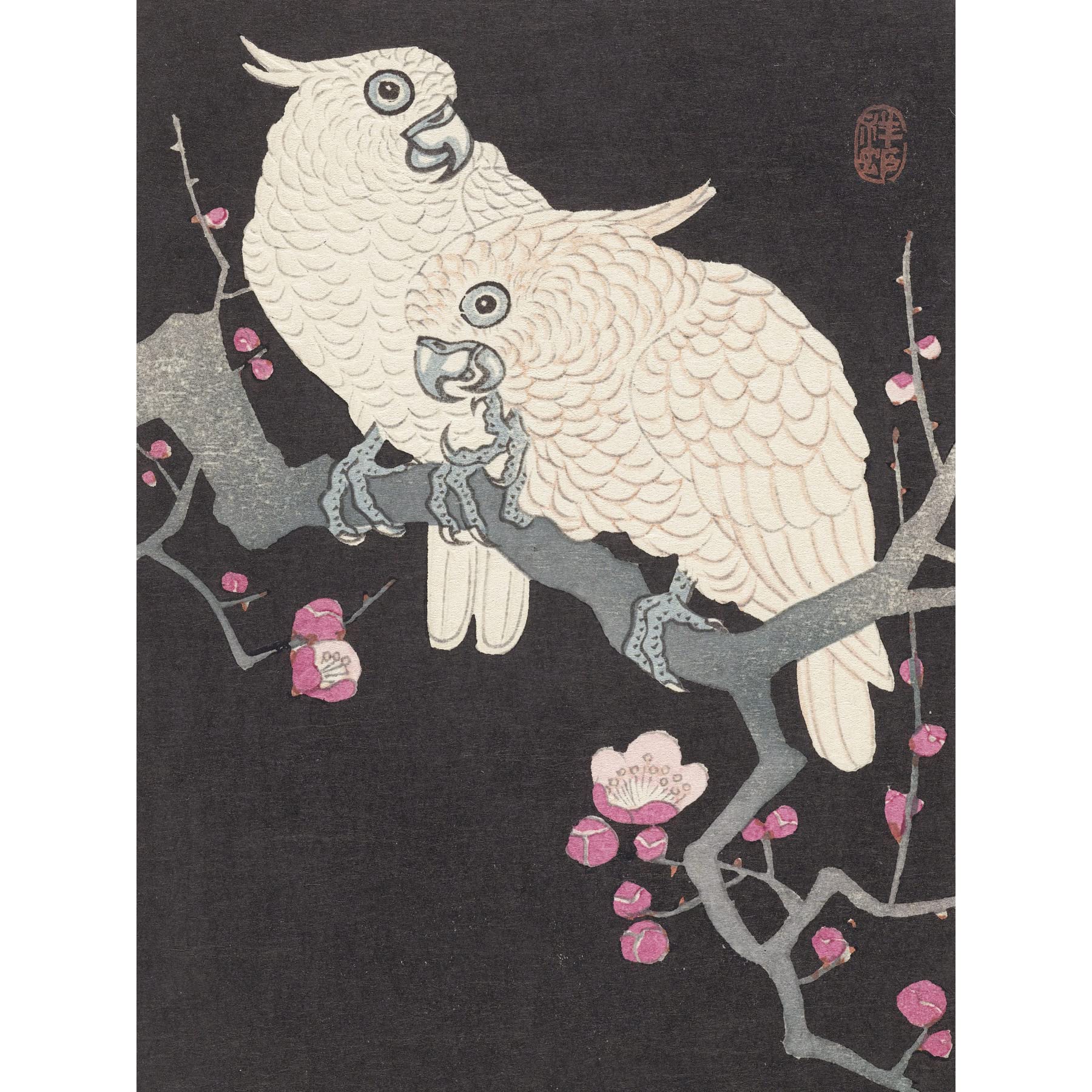 Artery8 Ohara Koson Two Cockatoo And Plum Blossom Painting Large XL Wall Art Canvas Print
