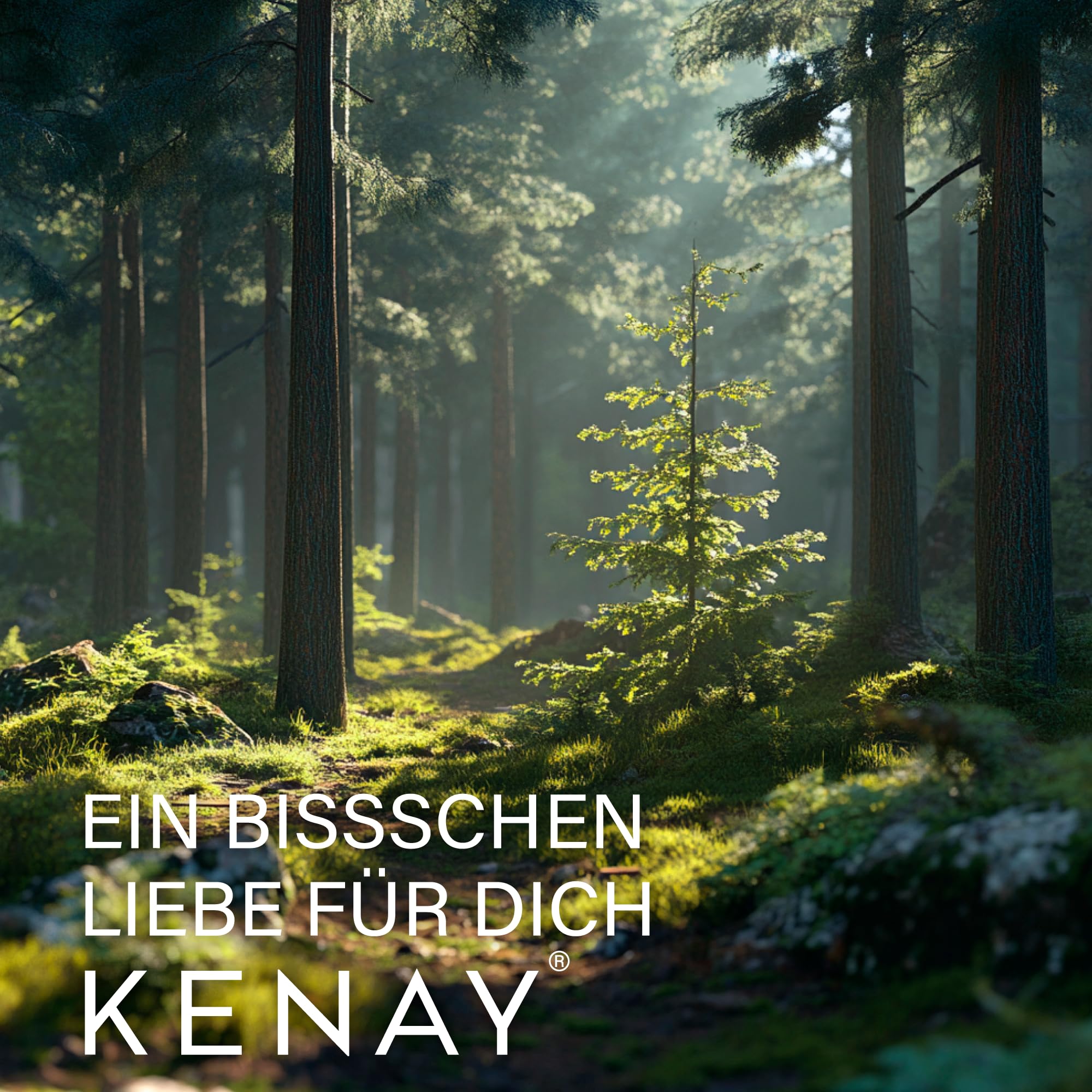 Andrographis ParActin - Extrakt aus Blättern Andrographis paniculata - 300mg pro Tagesdosis - 60 Kapseln vege KENAY EUROPE