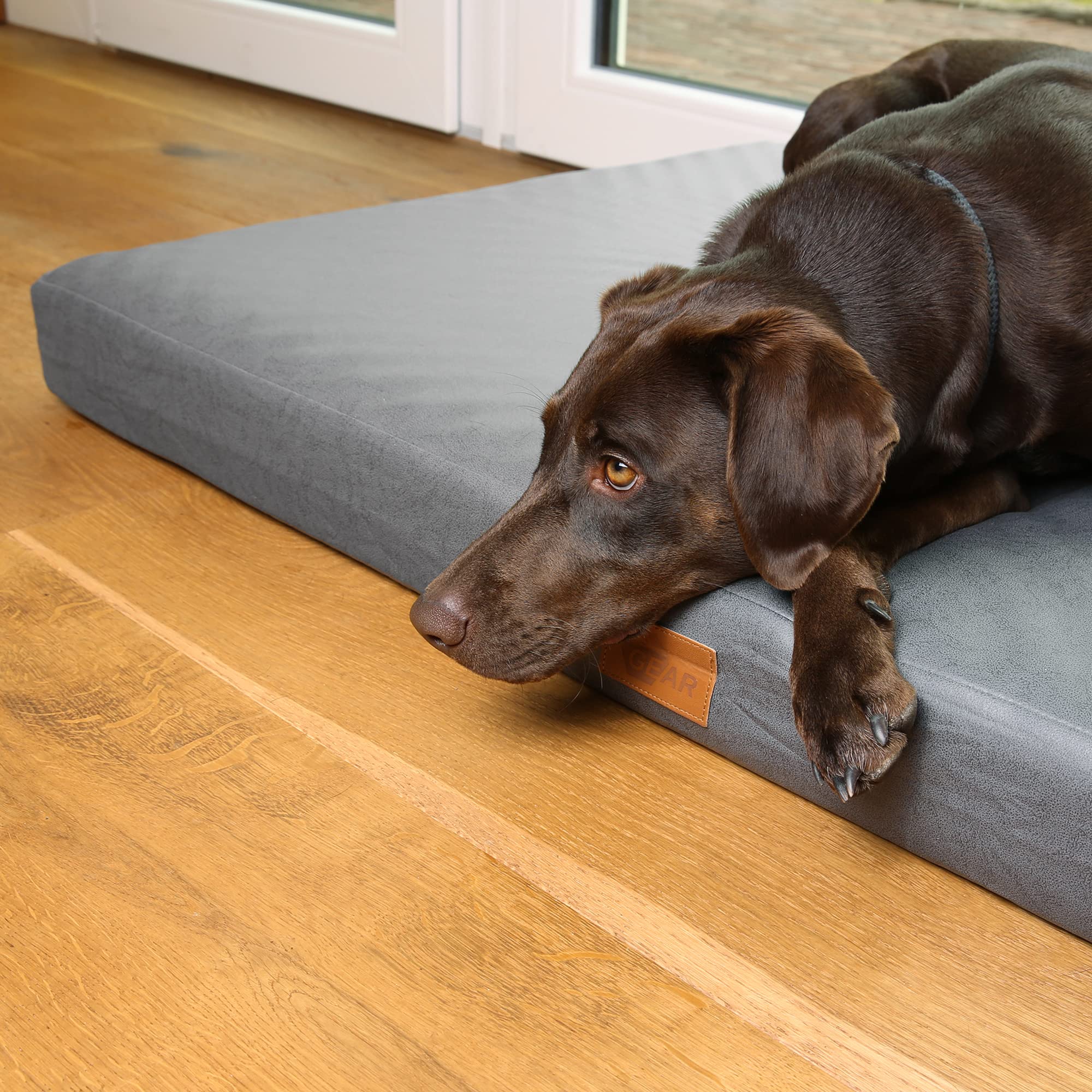 your GEAR Biella Cama ortopédica para Perros XXL, Cama para Perros Grandes, Lavable, colchón para Perros, Gran Comodidad (160 x 100 x 10 cm)