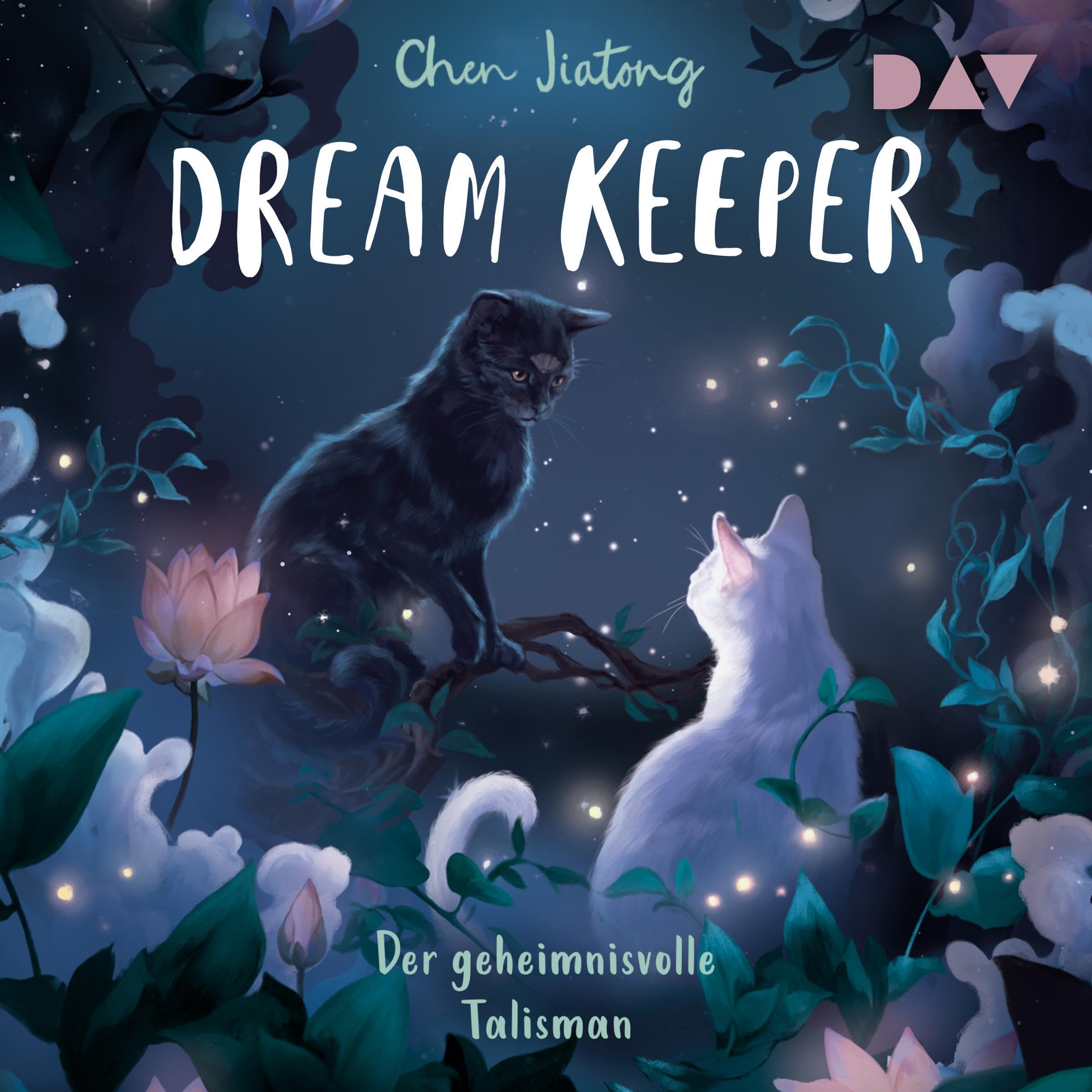 Cover art for Der geheimnisvolle Talisman