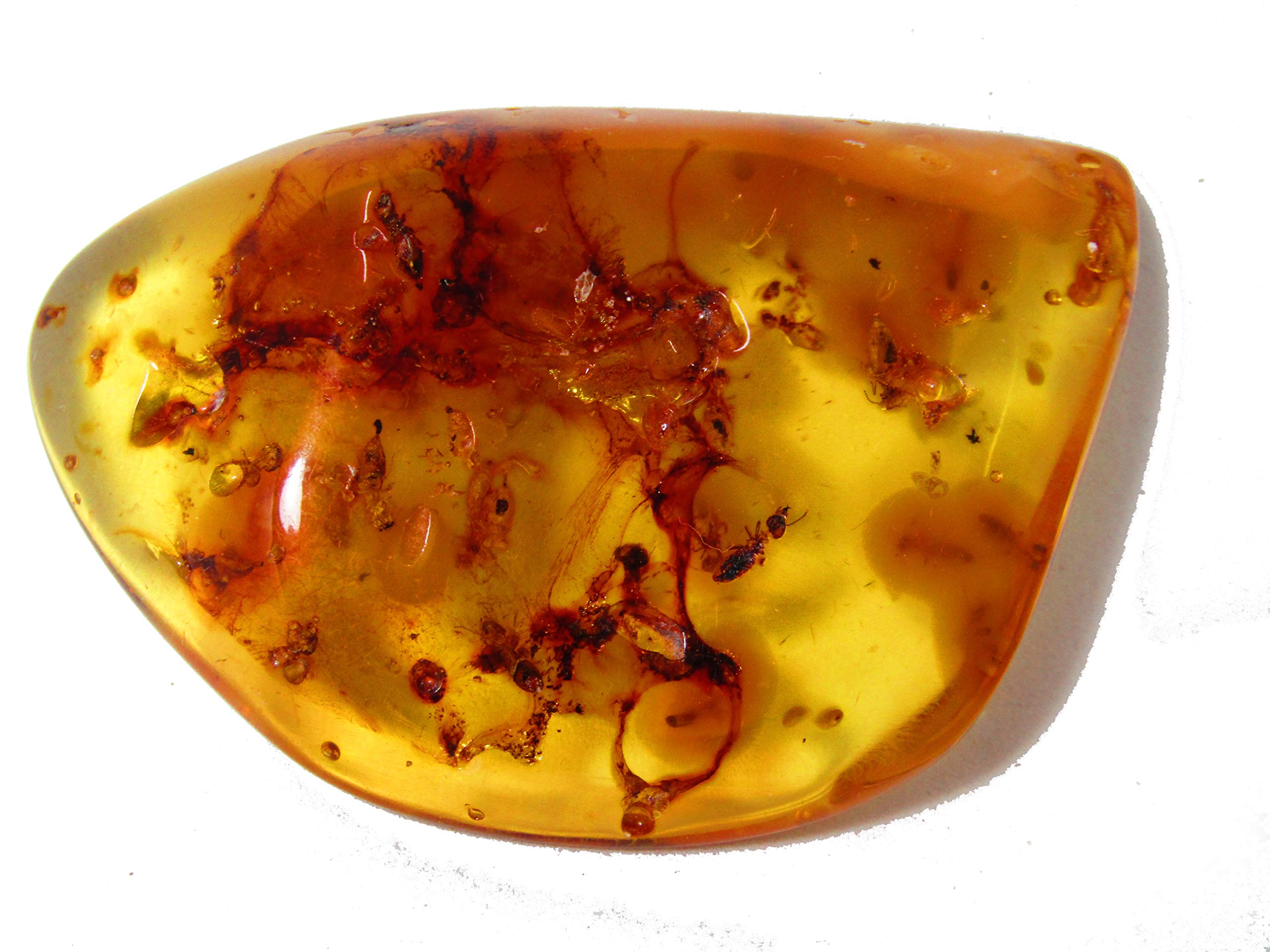 STM32 by STAmbar Full of Themites and Ants, 19.5g