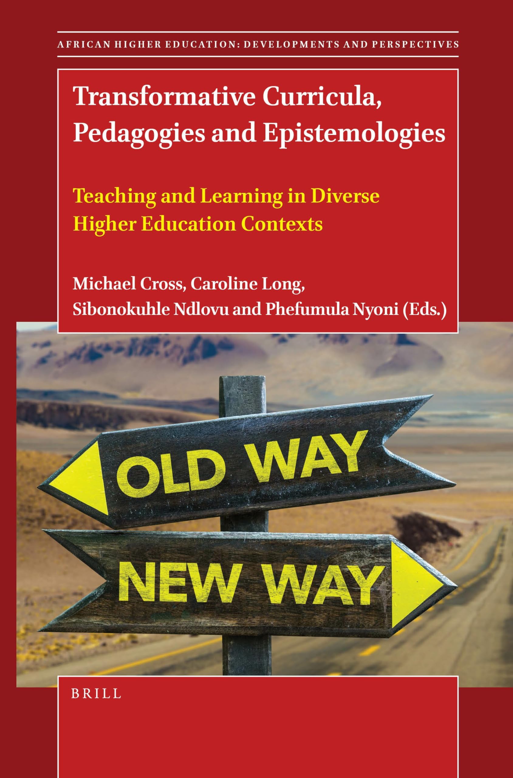 Transformative Curricula, Pedagogies and Epistemologies: Teaching and Learning in Diverse Higher Education Contexts: 11 (African Higher Education: Developments and Perspectives)