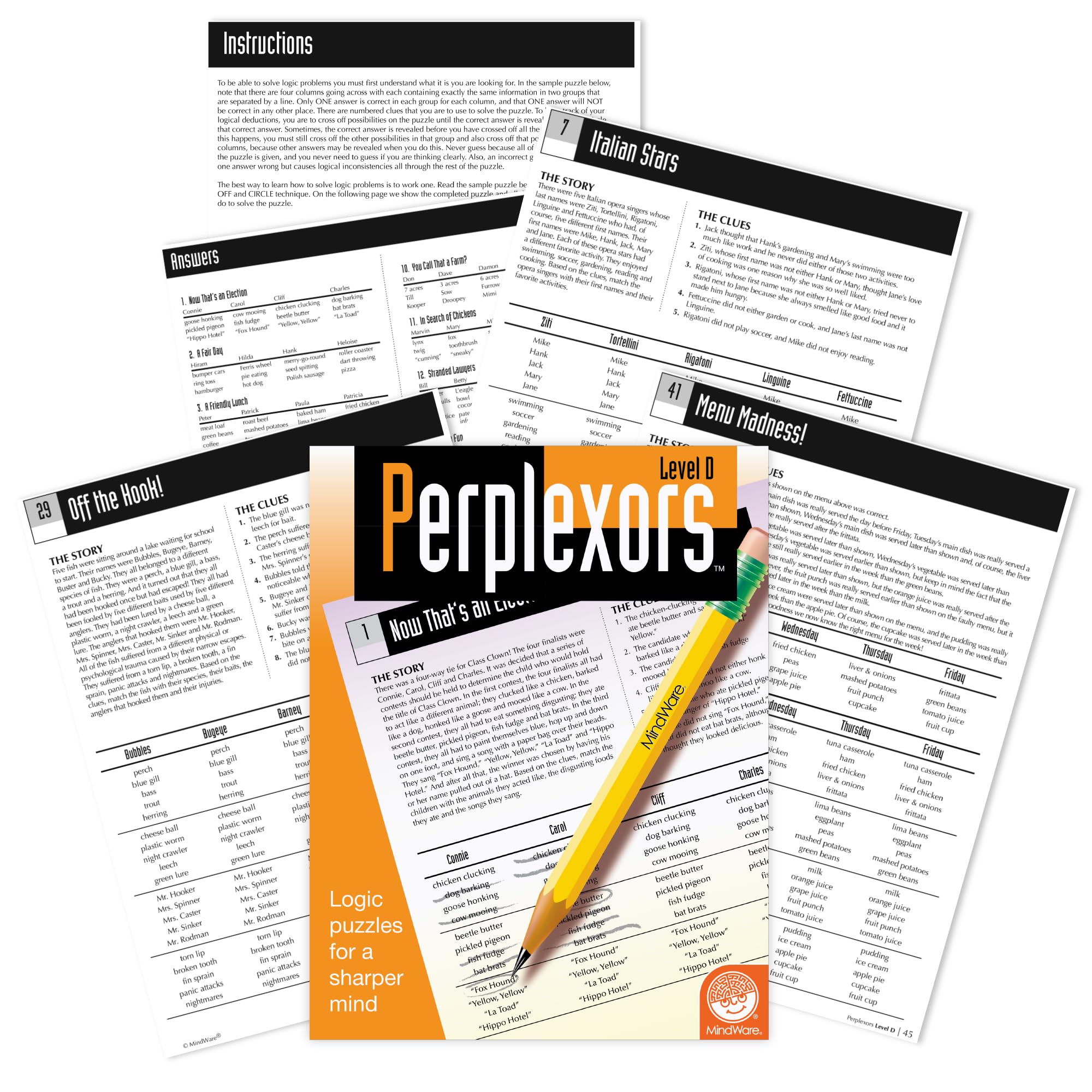 MindWare Perplexors: Level D