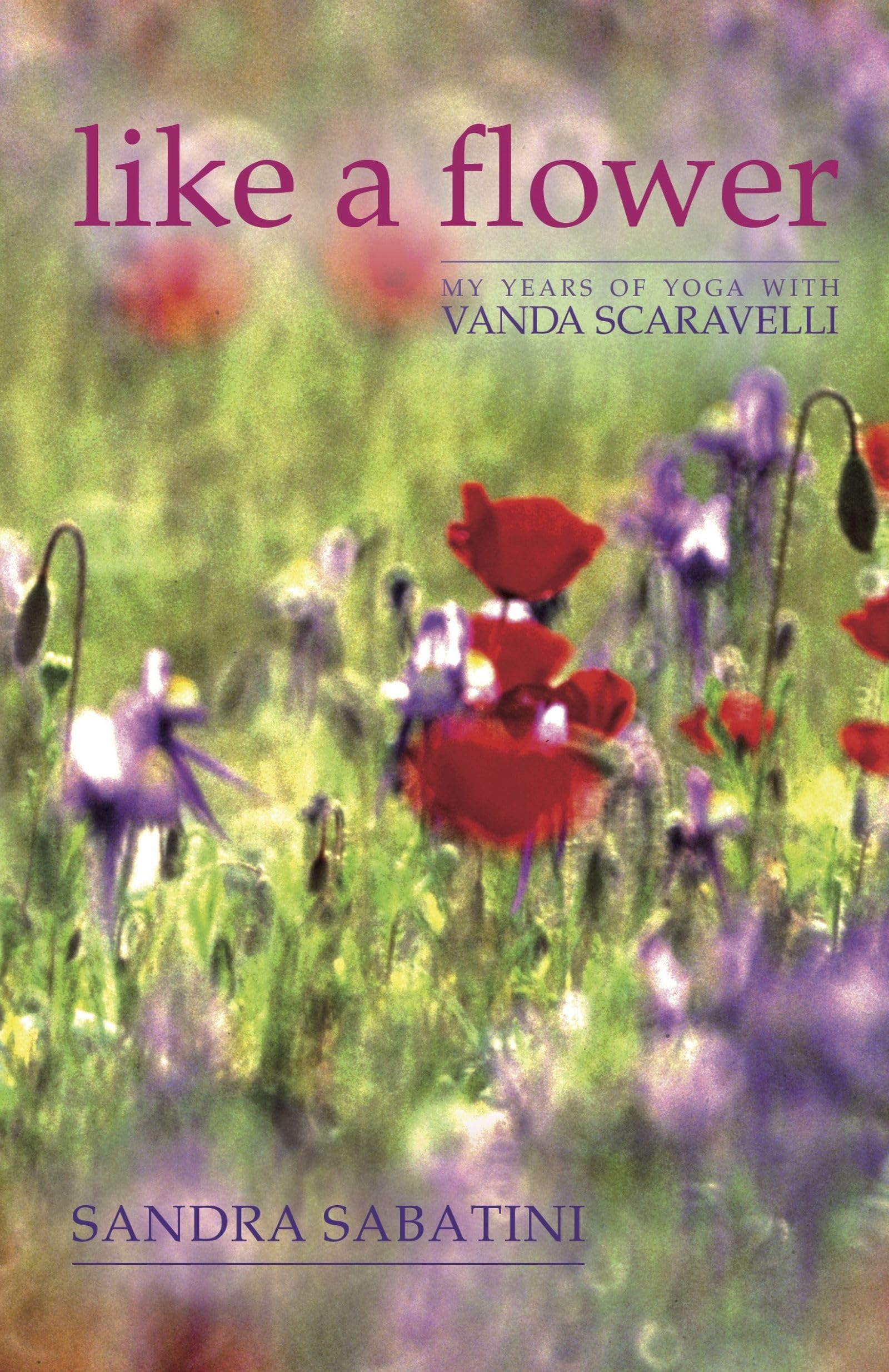 Like a Flower: My Years of Yoga with Vanda Scaravelli Hardcover – 21 Nov. 2011