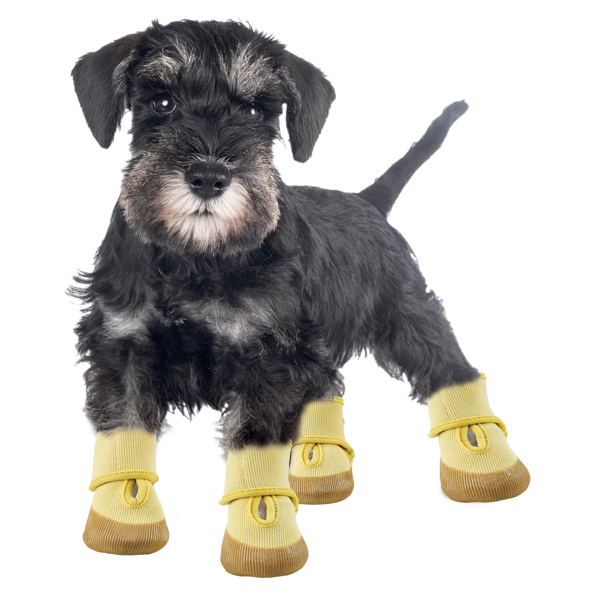 まるさん専用 まるふじ ミニどうらく仕掛け SDR-18 11,12,13号 サバ皮 伊勢尼 マゴ針