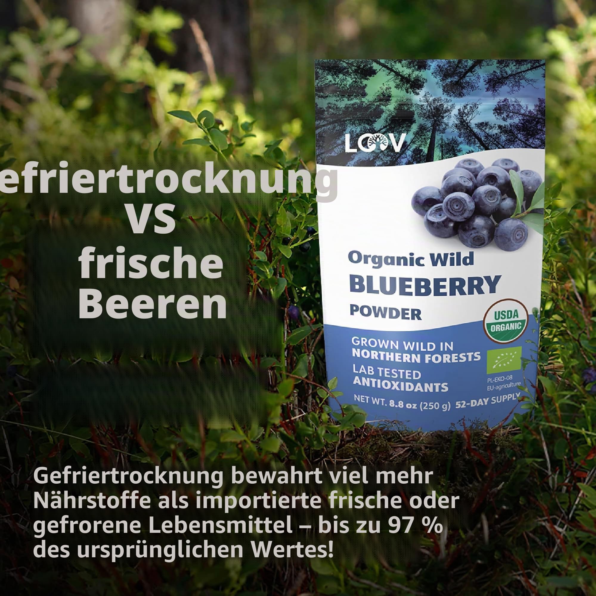 LOOV Bio-Wildheidelbeerpulver – 41-Tage-Vorrat, 250 g, ideal für Smoothies & Frühstück, gefriergetrocknet, aus Nordeuropa, ohne Zuckerzusatz