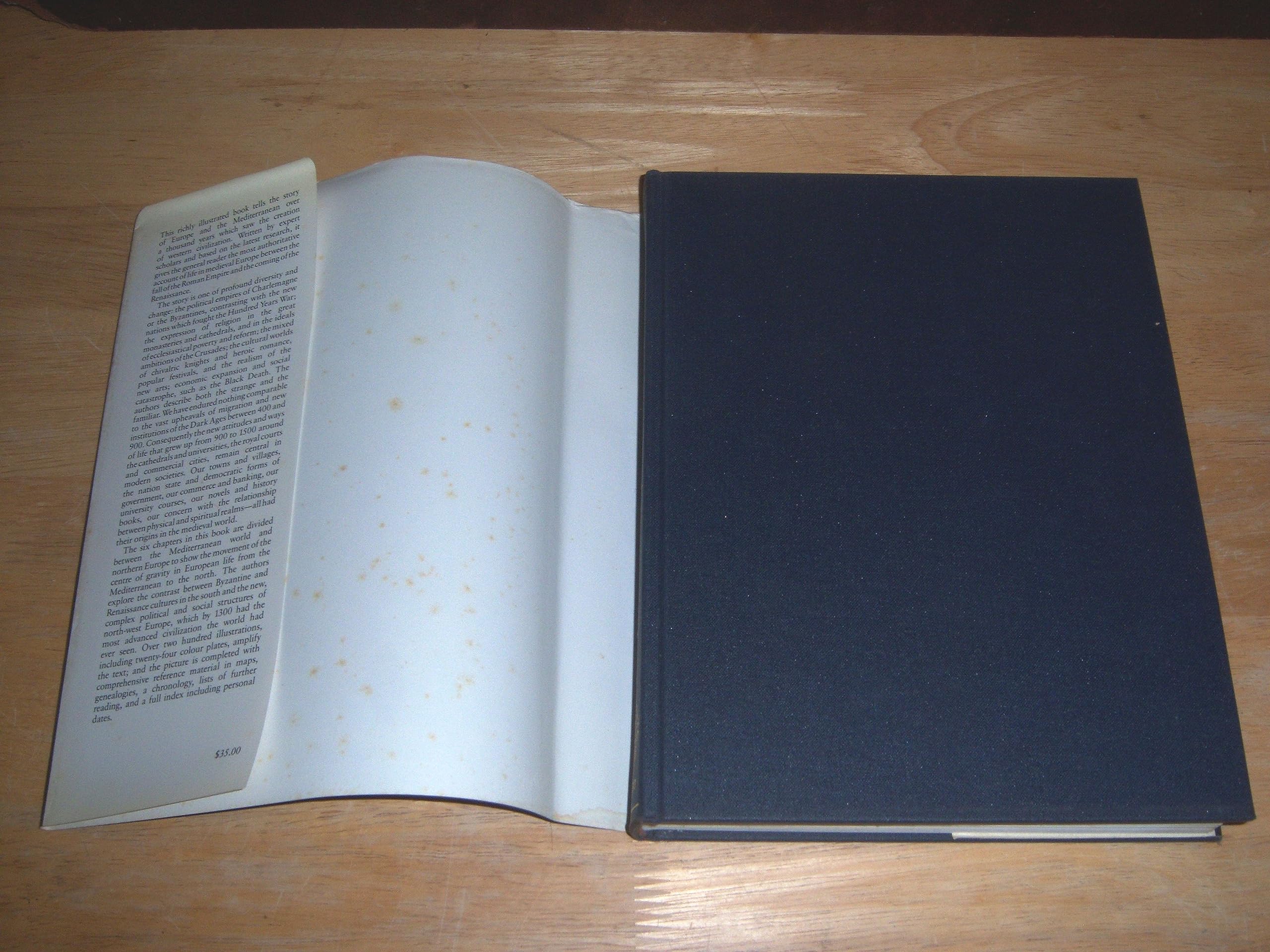 The Oxford Illustrated History of Medieval Europe (Oxford Illustrated Histories) - Image 3