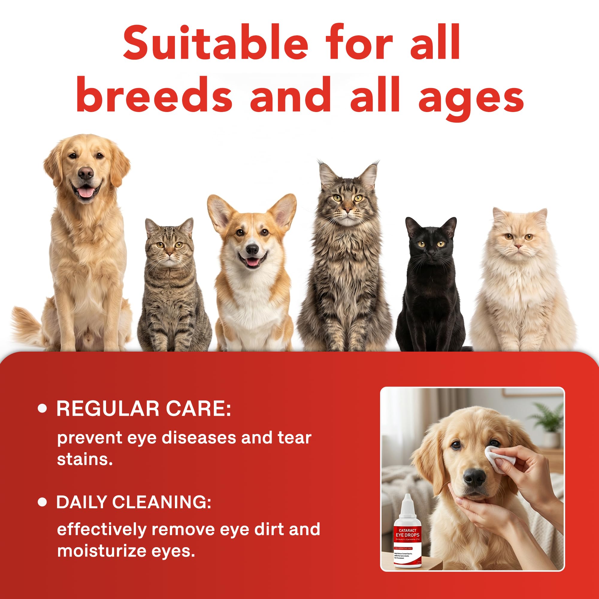 Eye Care Drops for Dogs & Cats – Supports Healthy Vision & Comfort, Preservative-Free, Natural Formula, 1.69 fl oz — Amazon image 6
