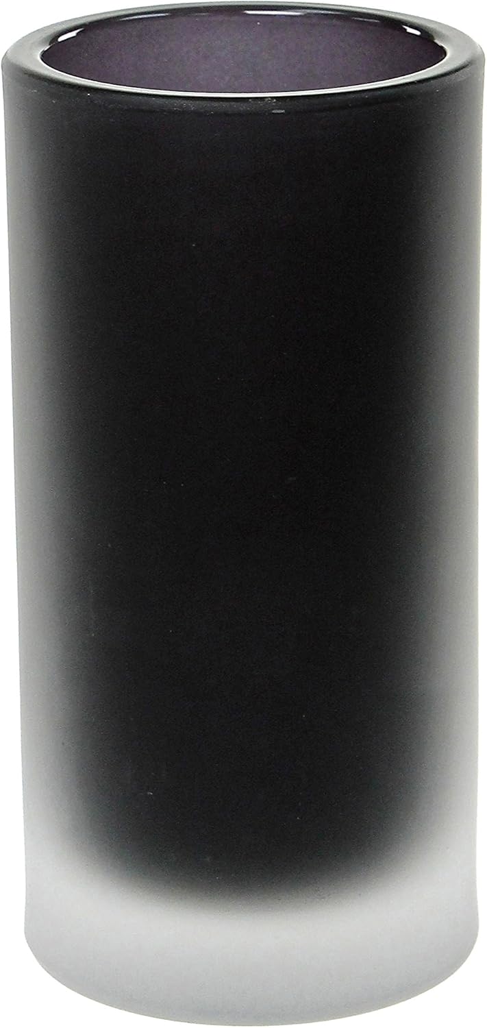 Gedy Tiglio Free Standing Glass Toothbrush Holder, Black