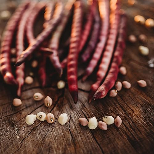 Miniatura 1 de Top Pick Brown Crowder PeaCowpey, 50 semillas, variedad tradicional y polinizada abierta, cultivadas en Estados Unidos, semillas de vegetales sin