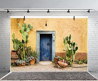 Leyiyi 7x5ft Photography Background Mexico Cactus Backdrop Western Building Life Desert Plant Saguaro Grunge Stone Wall Flowerpot Oilpainting Garden Door Cowboy Photo Portrait Vinyl Studio Video Prop - coolthings.us