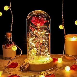 E-MANIS La Belle et la Bête Rose, feuille d'or rose sur le dôme en verre et lumières LED, convient pour la Saint-Valentin, la Fête des Mères, l'anniversaire et la décoration d'intérieur