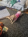 Review Image by Amazon Customer