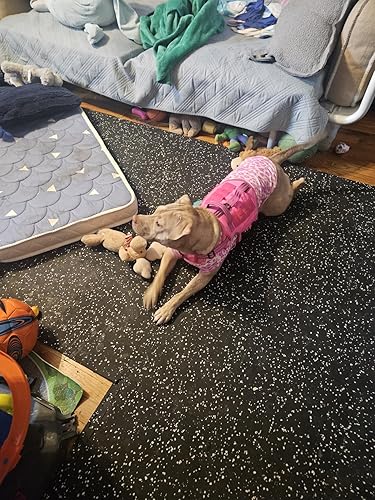 Review Image by Amazon Customer
