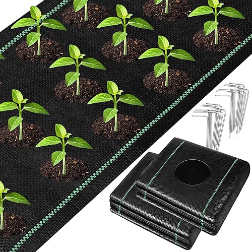 Miniatura 7 de UNIFAMILY Tela de paisaje resistente de 3 x 30 pies, tela de barrera tejida con agujeros de plantación, tela de cubierta de suelo de jardín, tela de