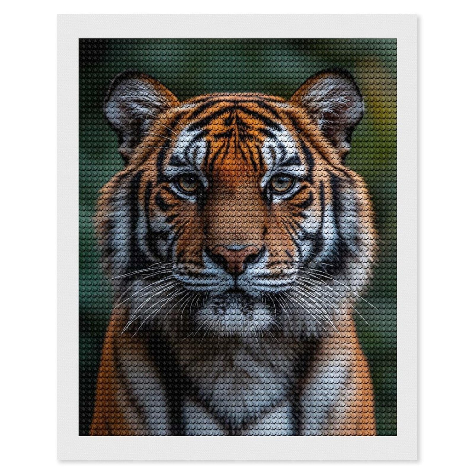 Junmoney Majestic Tiger Portrait(3) Diamond Painting Canvas Set 16"x20", Satisfying Creative Project, Easy to Follow Symbols, Fun Craft Experience