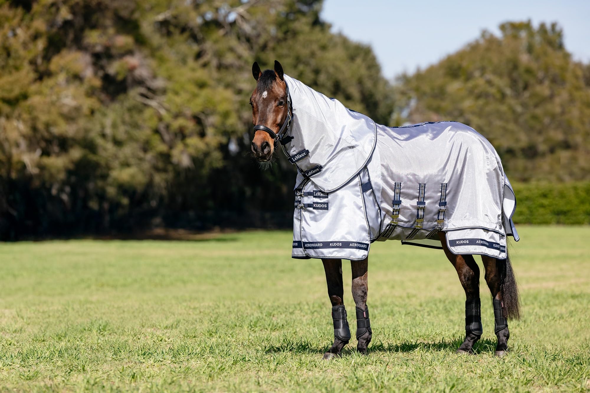 LeMieux Kudos AeroGuard Fly Rug - Extended Shaped Belly Flap - Ripshield Mesh - Silver - 5ft