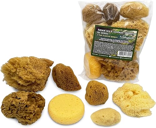 Lullingworth - Esponjas sintéticas y marinas naturales  Varios tamaños paquete económico de 7 piezas para manualidades y artistas ideal para pintura