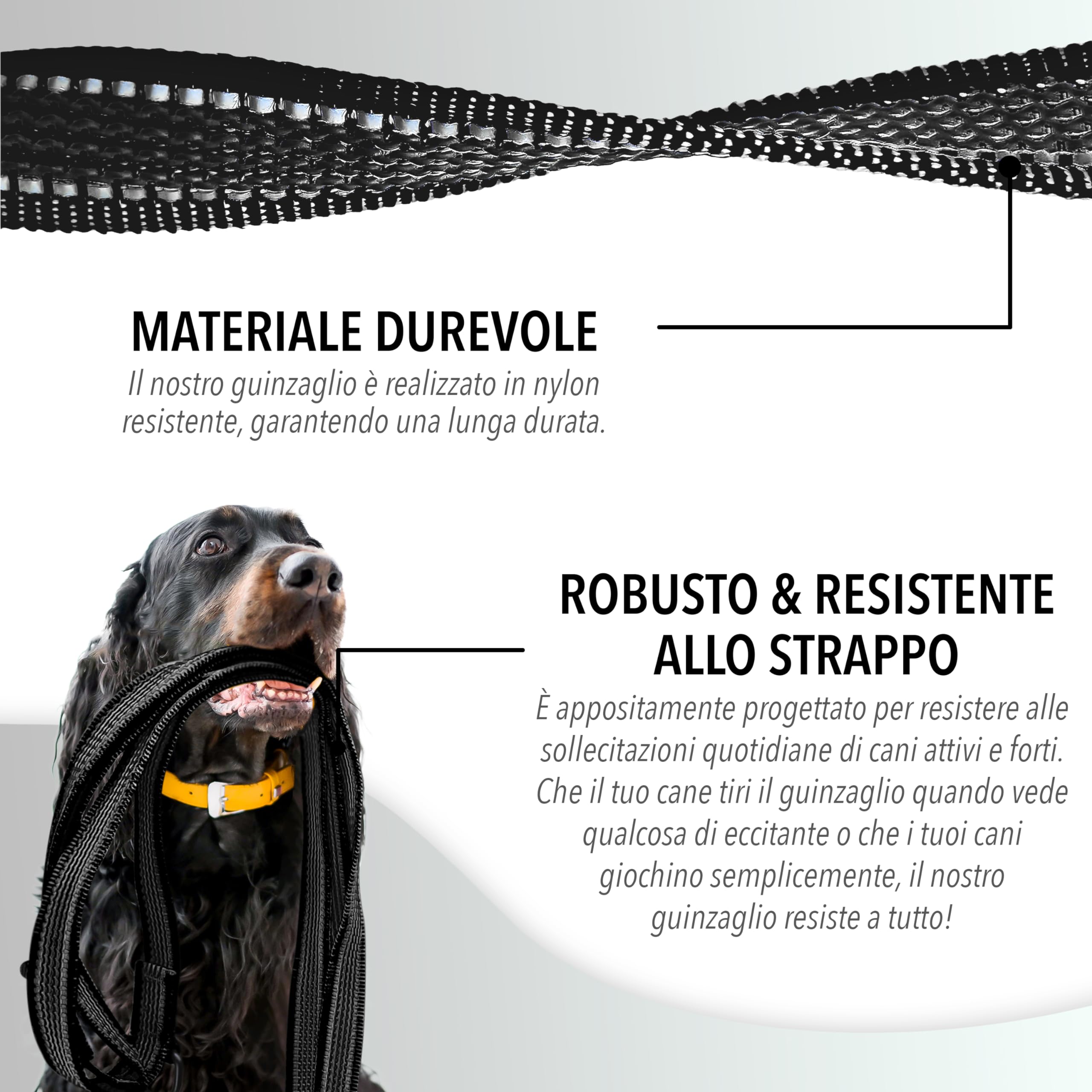 Guinzaglio Cane Robusto 3m Regolabile Piccoli e Grandi (10-100kg) – Gommato Antiscivolo & Mani Libere – Moschettone Sicurezza – STRONGHOLD – Marchio Tedesco