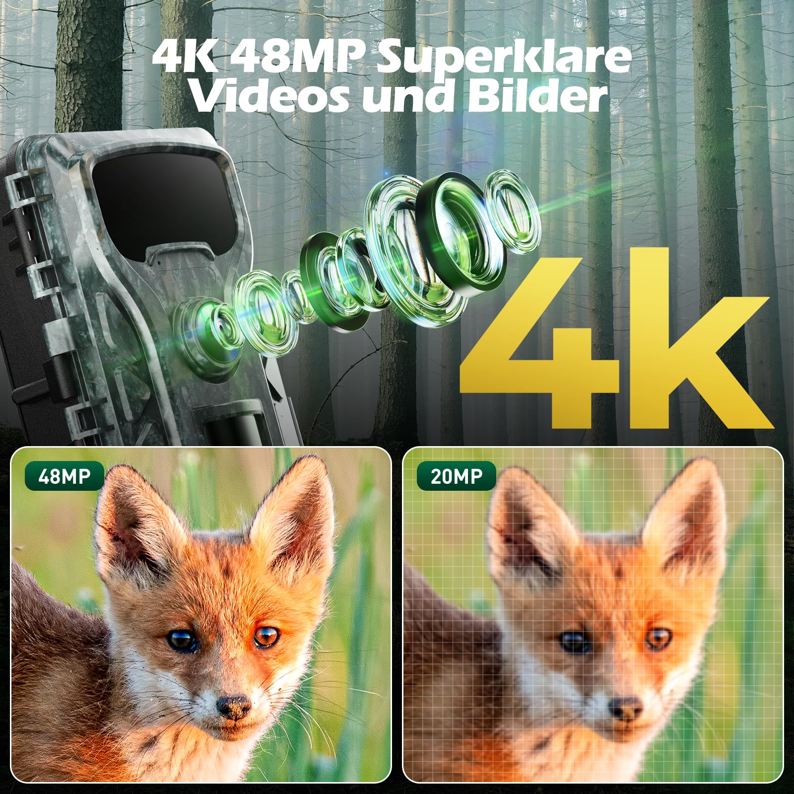 1118894_6 1118894_6