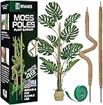 2 Pack 48'' Bendable Moss Pole Monstera Plant Support for Climbing Indoor Plants - Stakes for Potted Climbers - Tall Sticks Indoor Trellis for Houseplants - Accessories for Monstera Pot