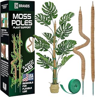 Bendable Moss Pole Plant Supports