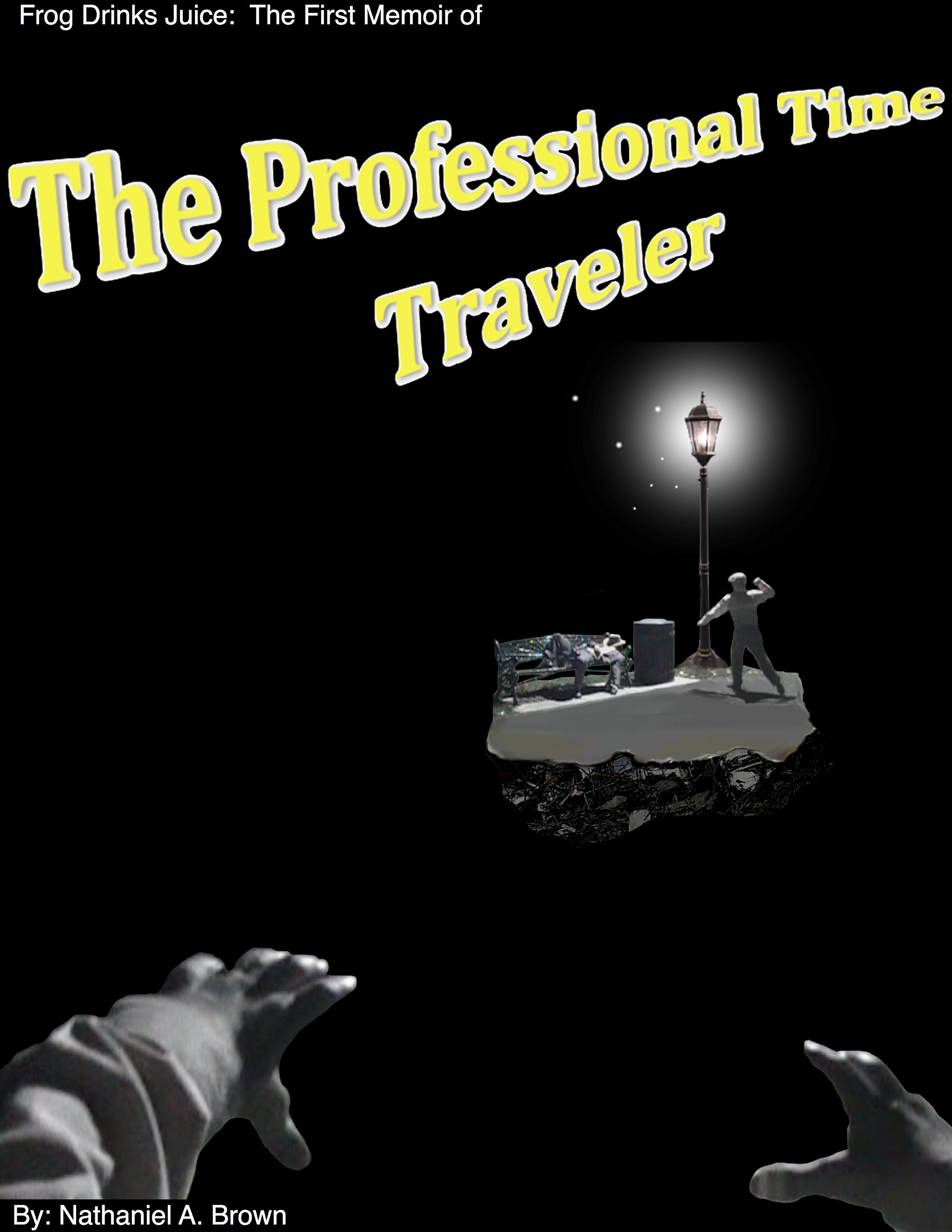 Frog Drinks Juice: 1 (Memoirs of The Professional Time Traveler)