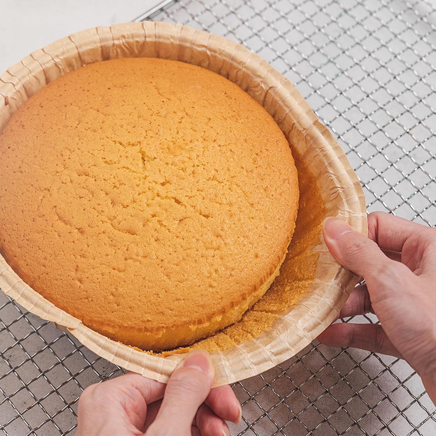 10 Piece Paper Disposable Pie Pans，Pie Plates Disposable for Baking (6 Inch)