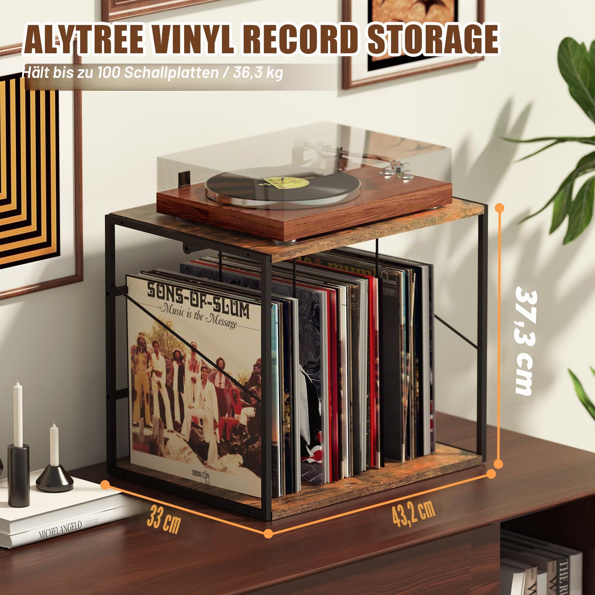 Schallplatten Aufbewahrung, Schallplattenständer für 80–100 Alben, Schallplatten Wandhalterung & Vinyl Halter mit Beweglicher Trennwand, Vinyl Record Storage Holder