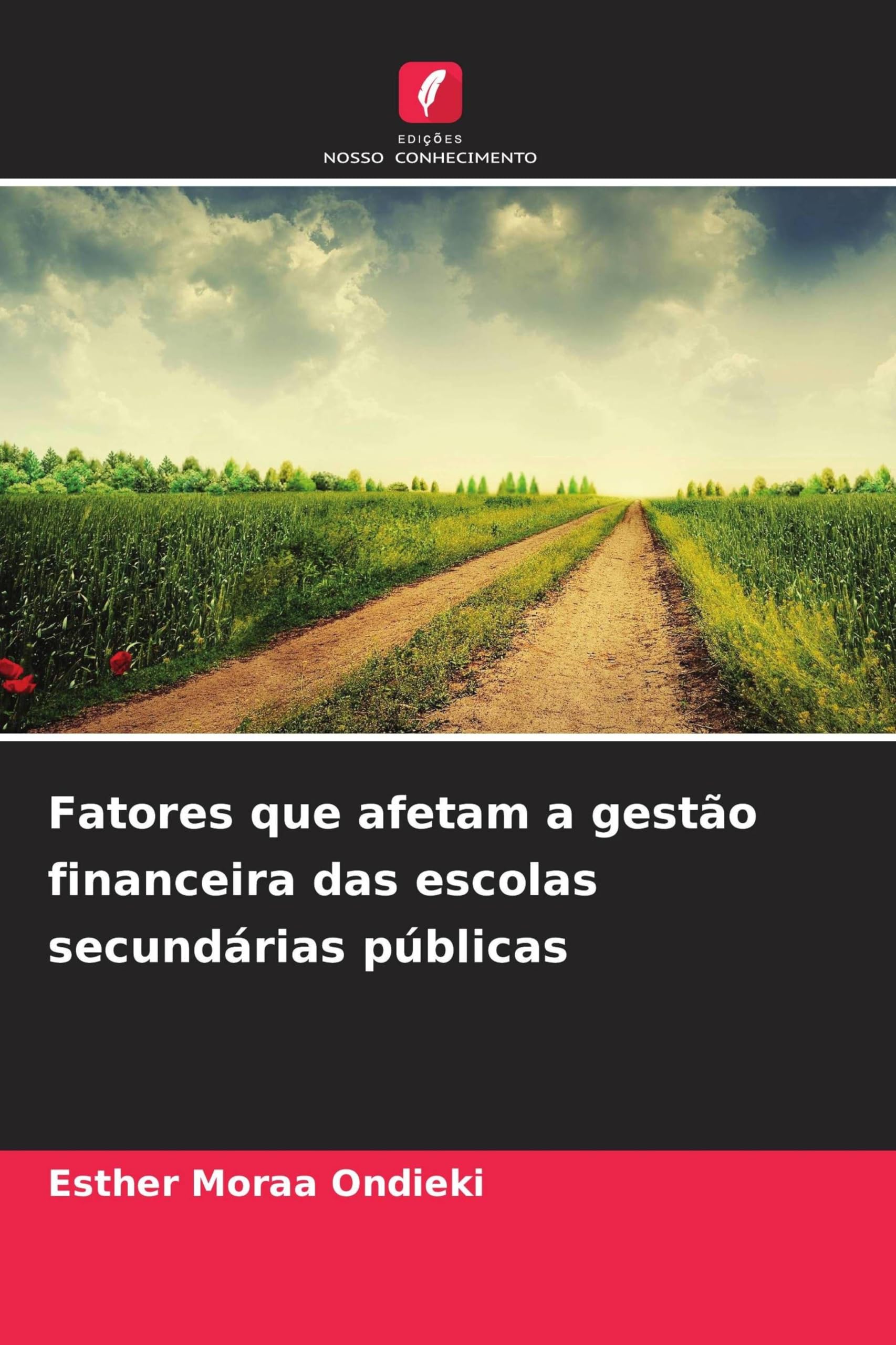 Fatores que afetam a gestão financeira das escolas secundárias públicas