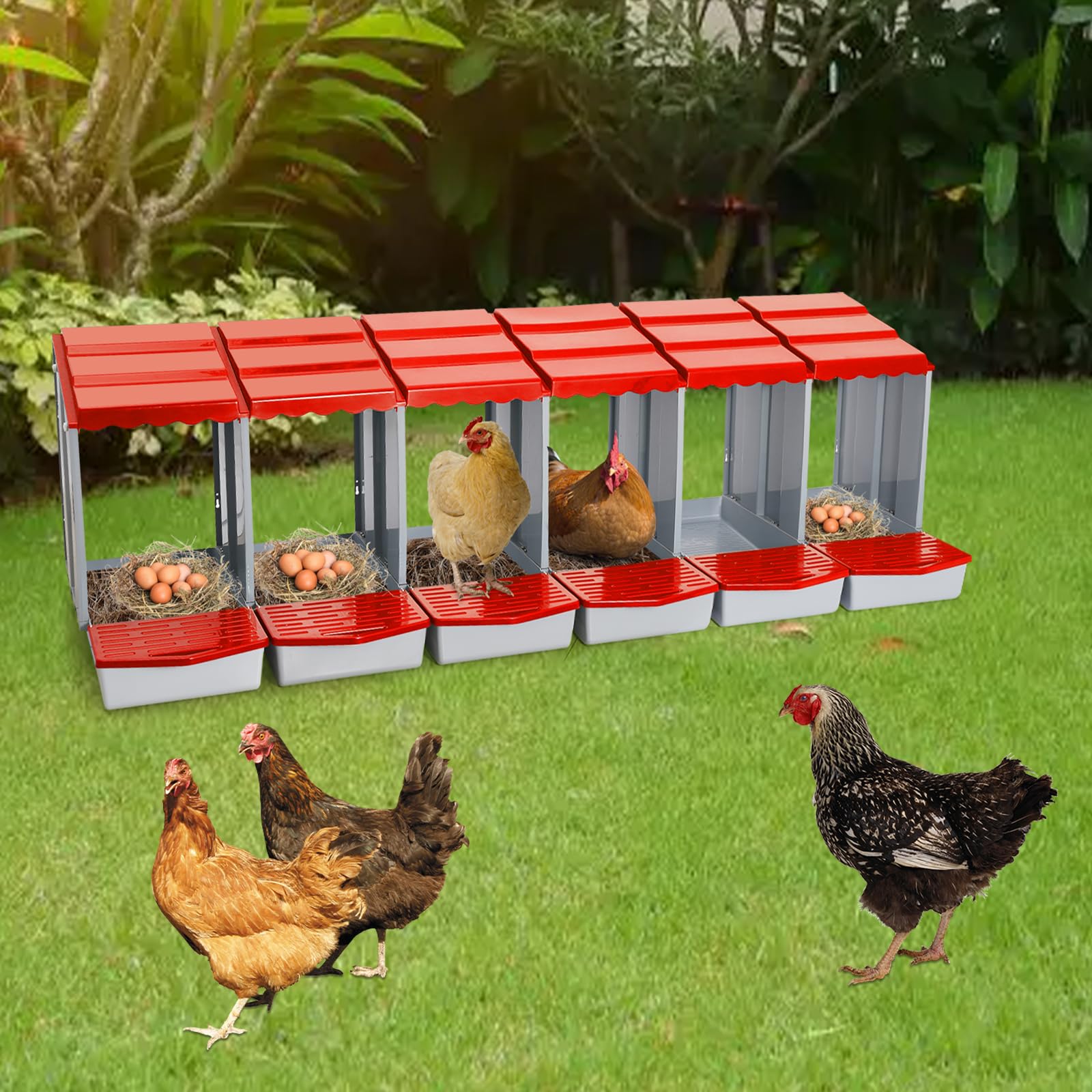 Nido de pollo con 6 compartimentos, de plástico, montaje en pared, para gallinas, patos, aves de corral, fácil limpieza (rojo)