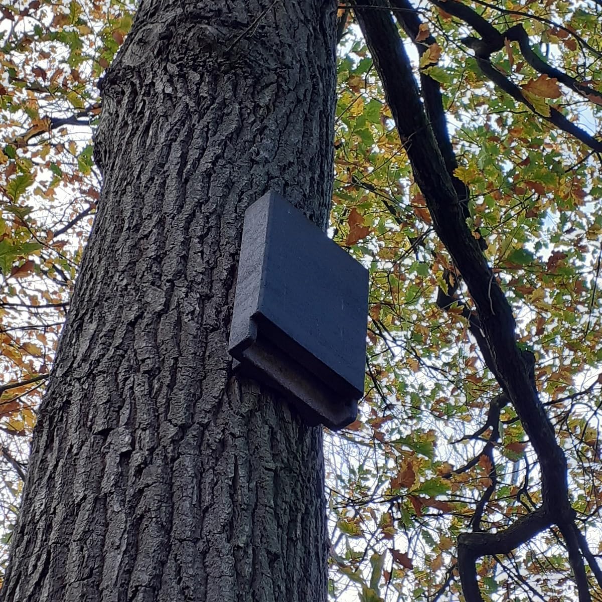 Fledermausspaltenkasten Dr. Nagel aus Holzbeton Wetterfest Fledermausquartier