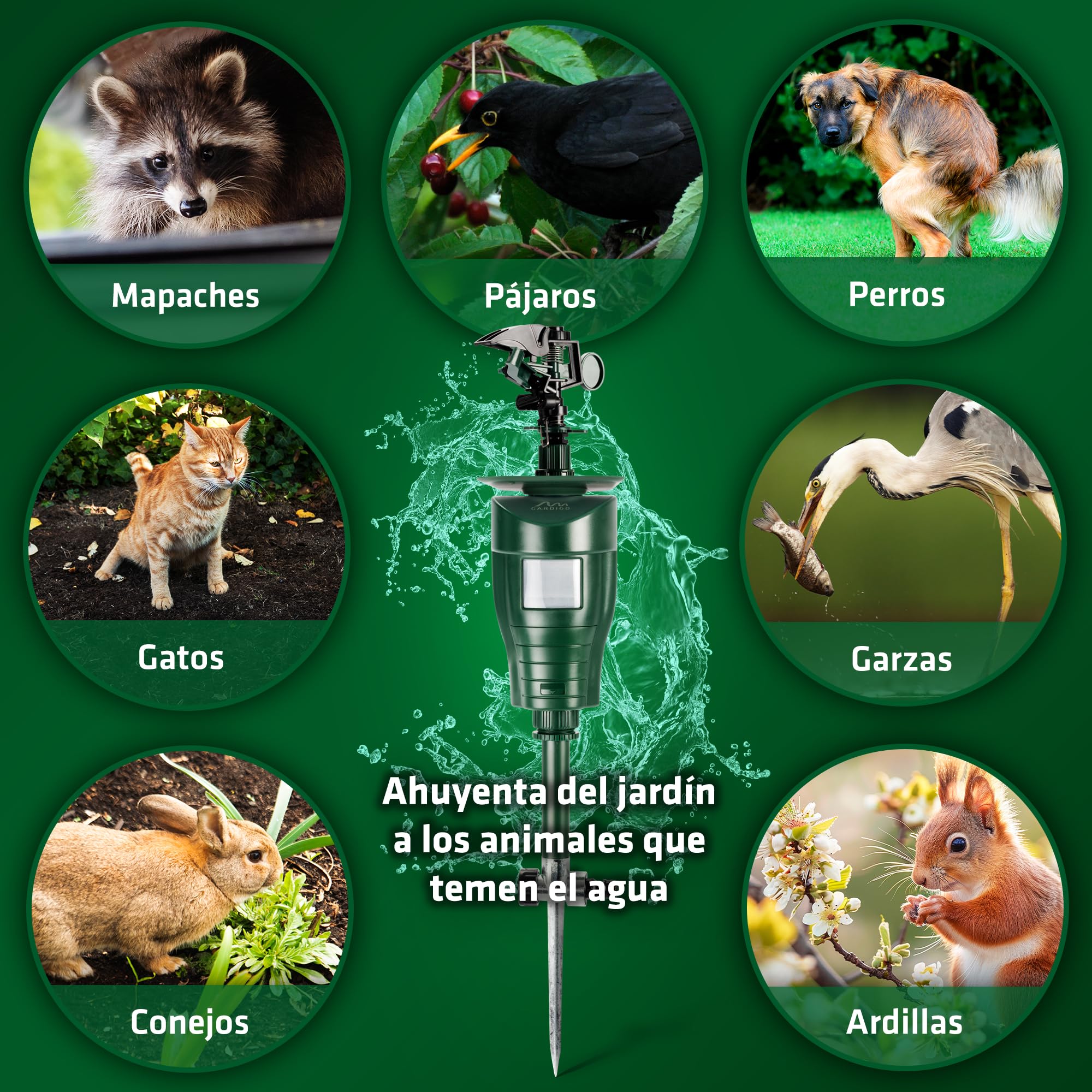 Gardigo® Ahuyentador de Animales con Rociador Efectivo | Aspersor de Agua con Sensor de Movimiento Ahuyentador Gatos, Perros, Espantapajaros Exterior | Espanta Gatos sin Veneno, Repelente Plagas