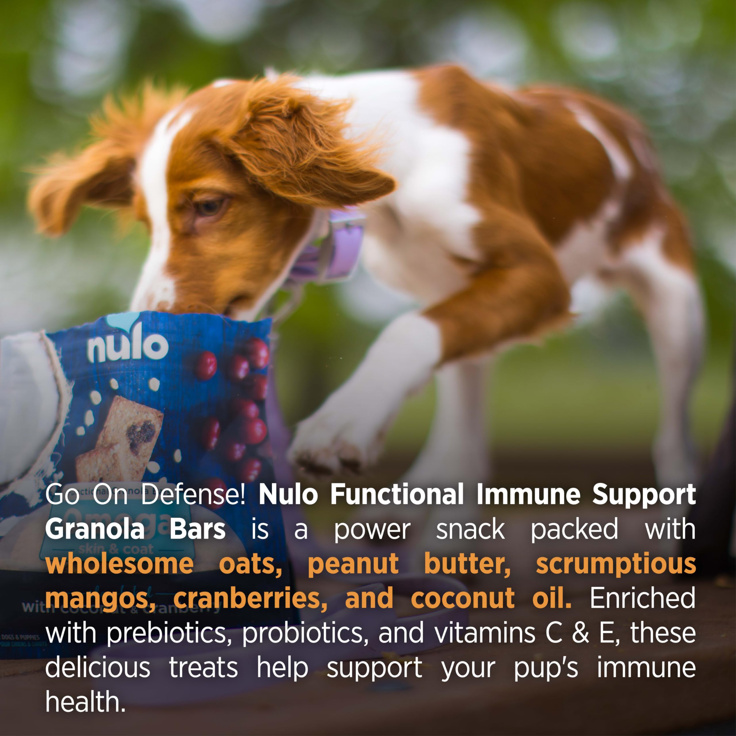 NuloFunctional Granola Bars, Healthy Dog Treats, Oven Baked, Made with  Prebiotics and Probiotics, Contains No Added Salt, Sugar, or Molasses, 10  Ounce