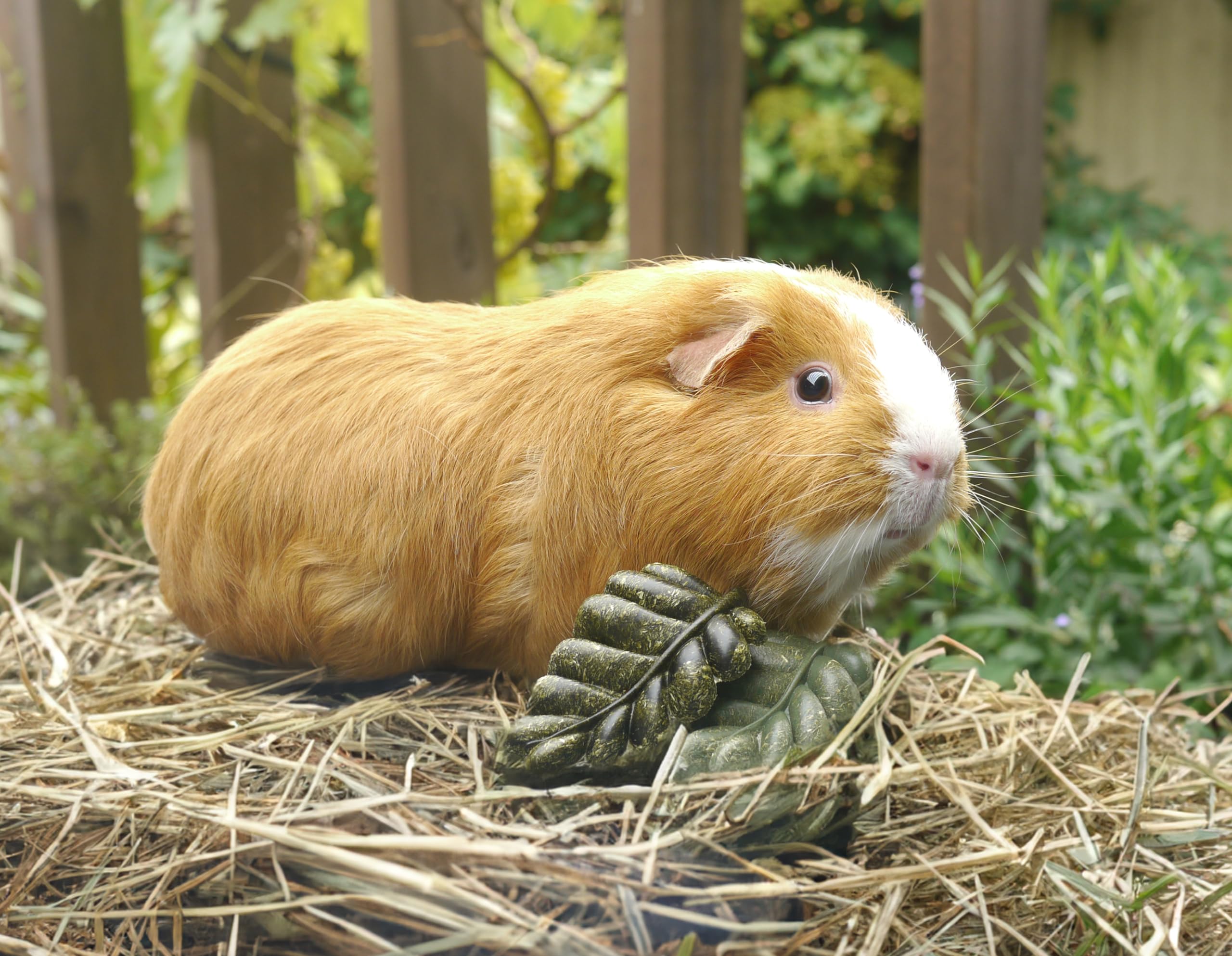 Boredom Breaker Accessories 27 PCS Rabbit Toys Set U2013 HOUSES