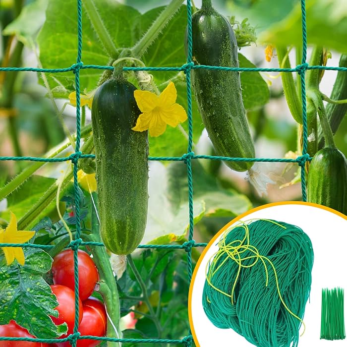 Buy Garden Trellis for Climbing Plants Outdoor, 6.6x8.2 FT Trellis