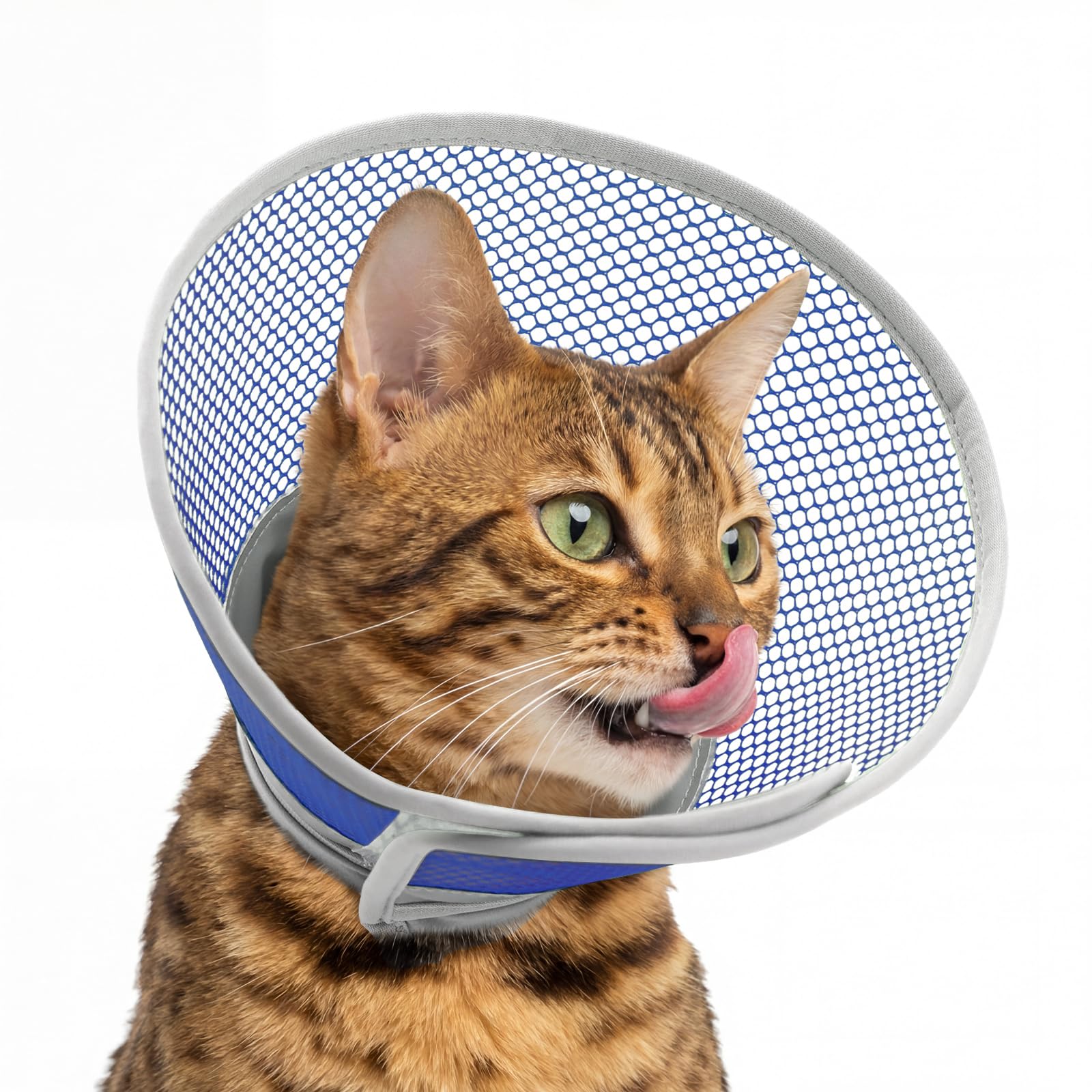 Supet Adjustable Waterproof Cat Cone Collar After Surgery to Stop Licking