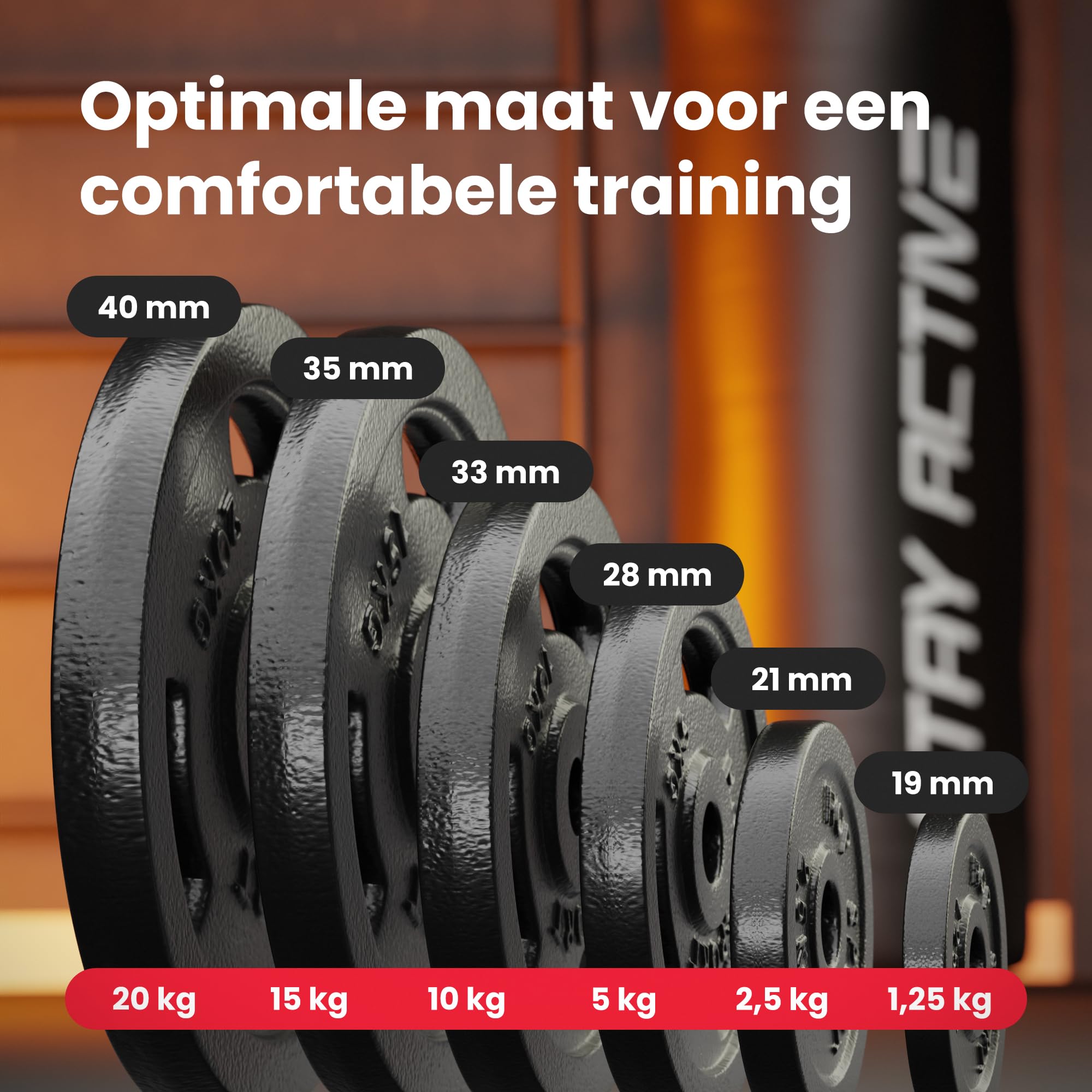 Gietijzeren Halterschijven-Set 40 kg 2 x 20 kg