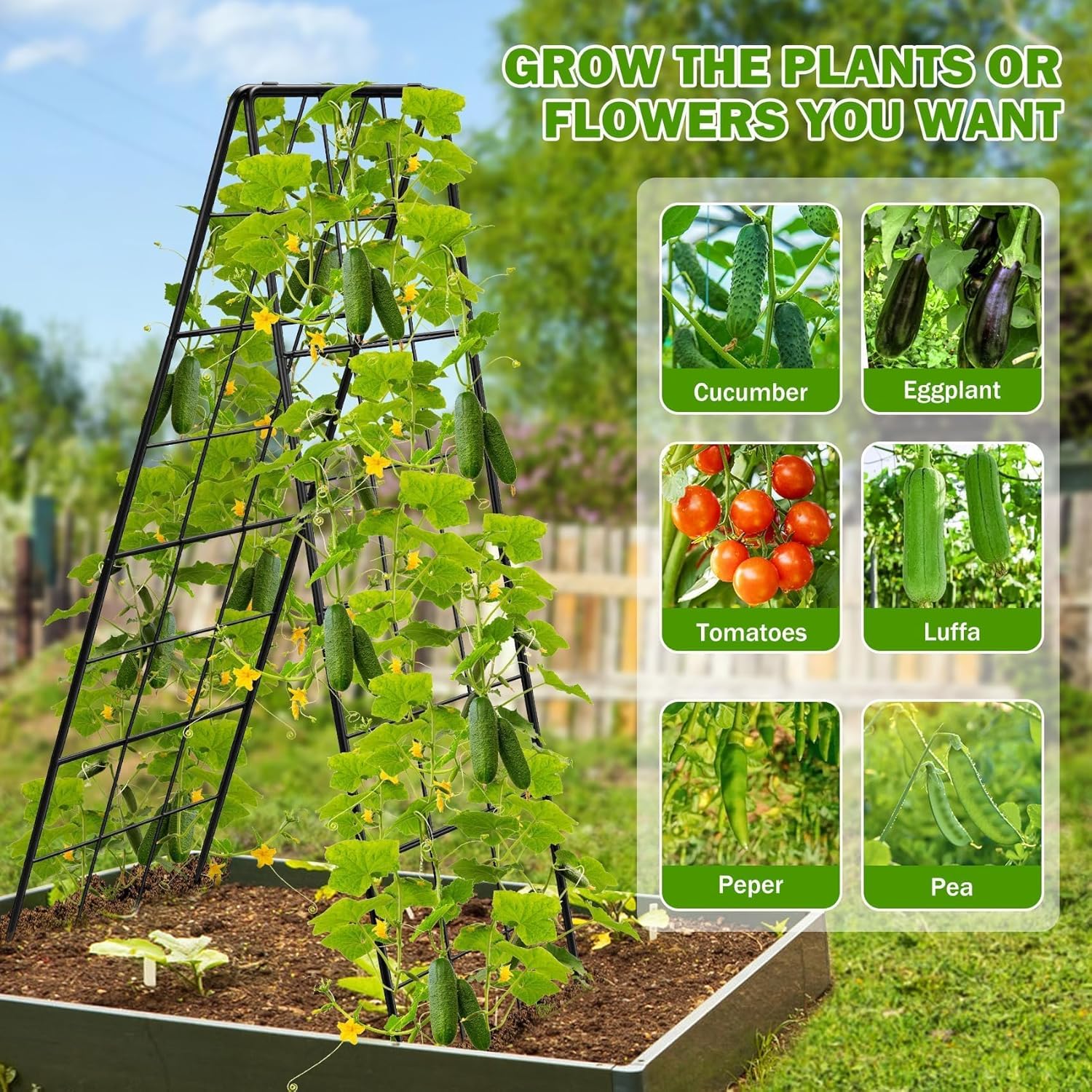 2 Pack 50" Tall A Frame Trellis for Climbing Plants Outdoor (50" X 17") – Heavy Duty Garden Adjustable Trellis, Metal Trellis for Cucumbers, Beans, Tomatoes, Grapes, and Vining Vegetables