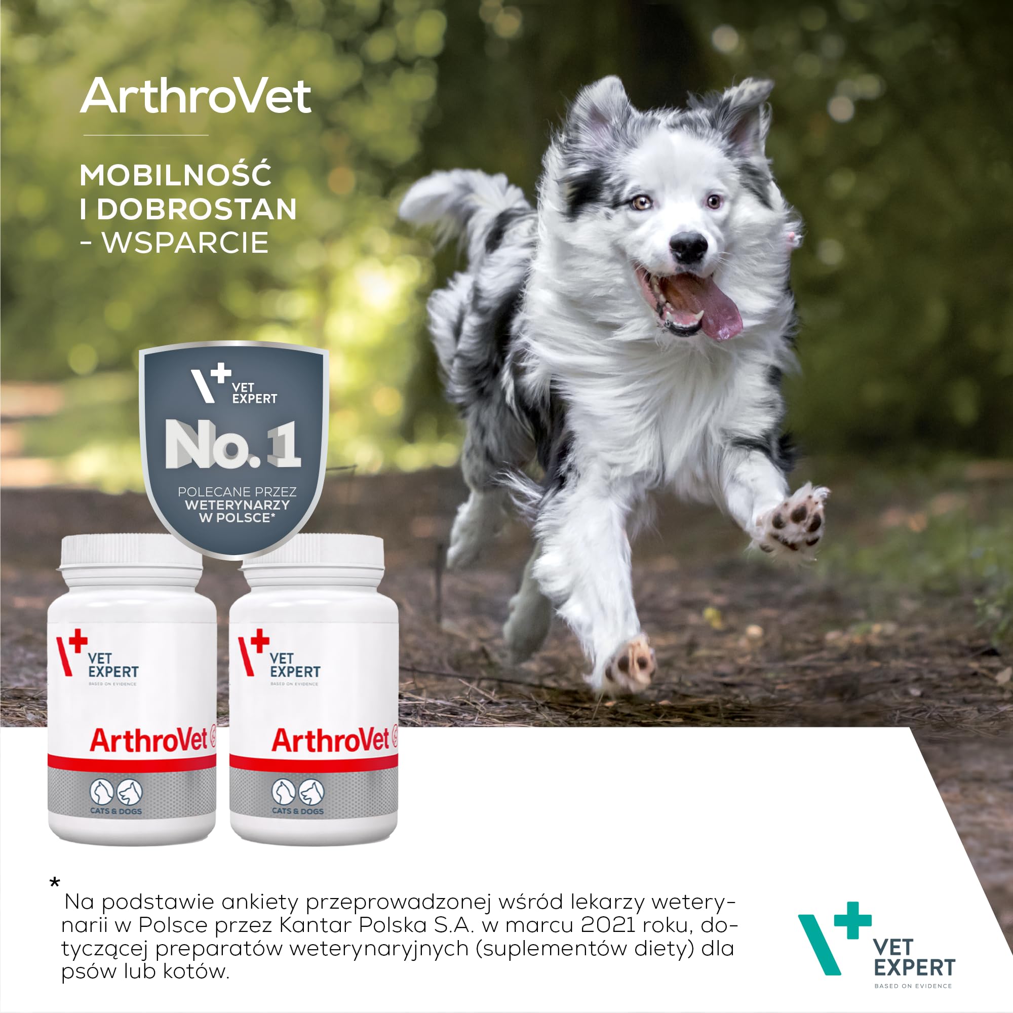 VET EXPERT ARTHROVET - preparat na stawy dla psów i kotów 60szt